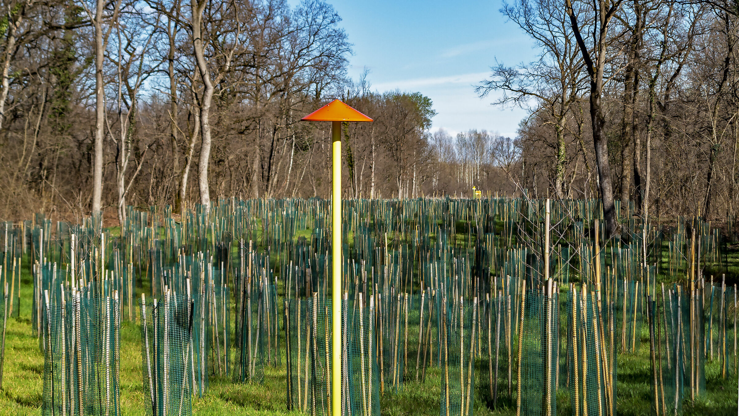 We are small, but we will grow