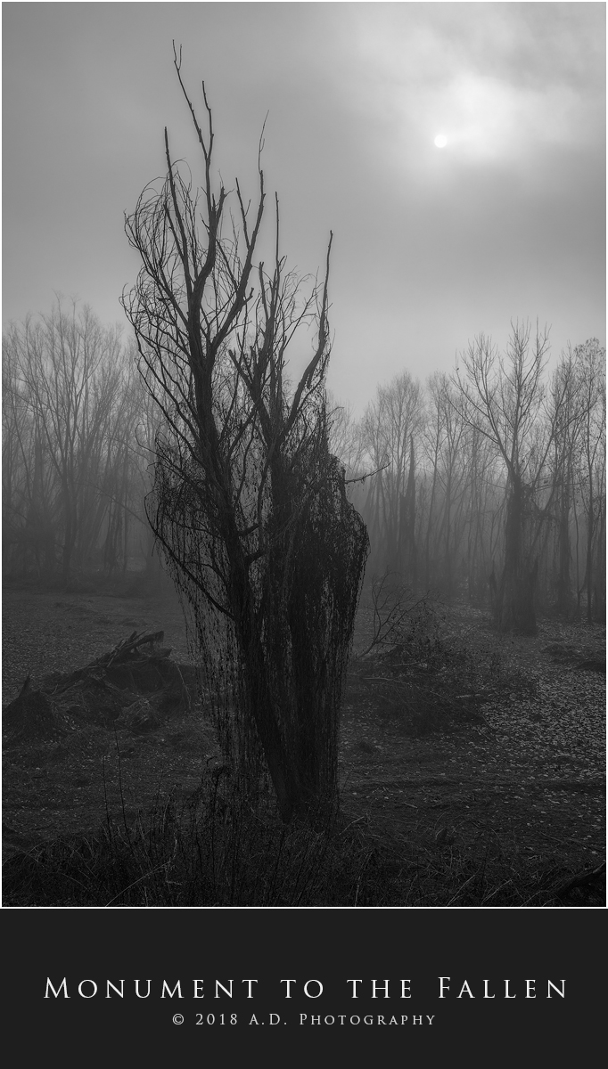 Monument to the Fallen