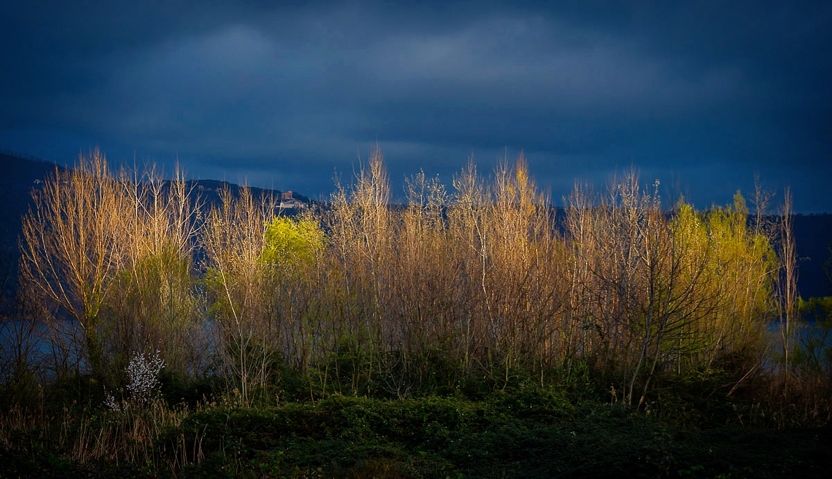 The quiet Before the storm