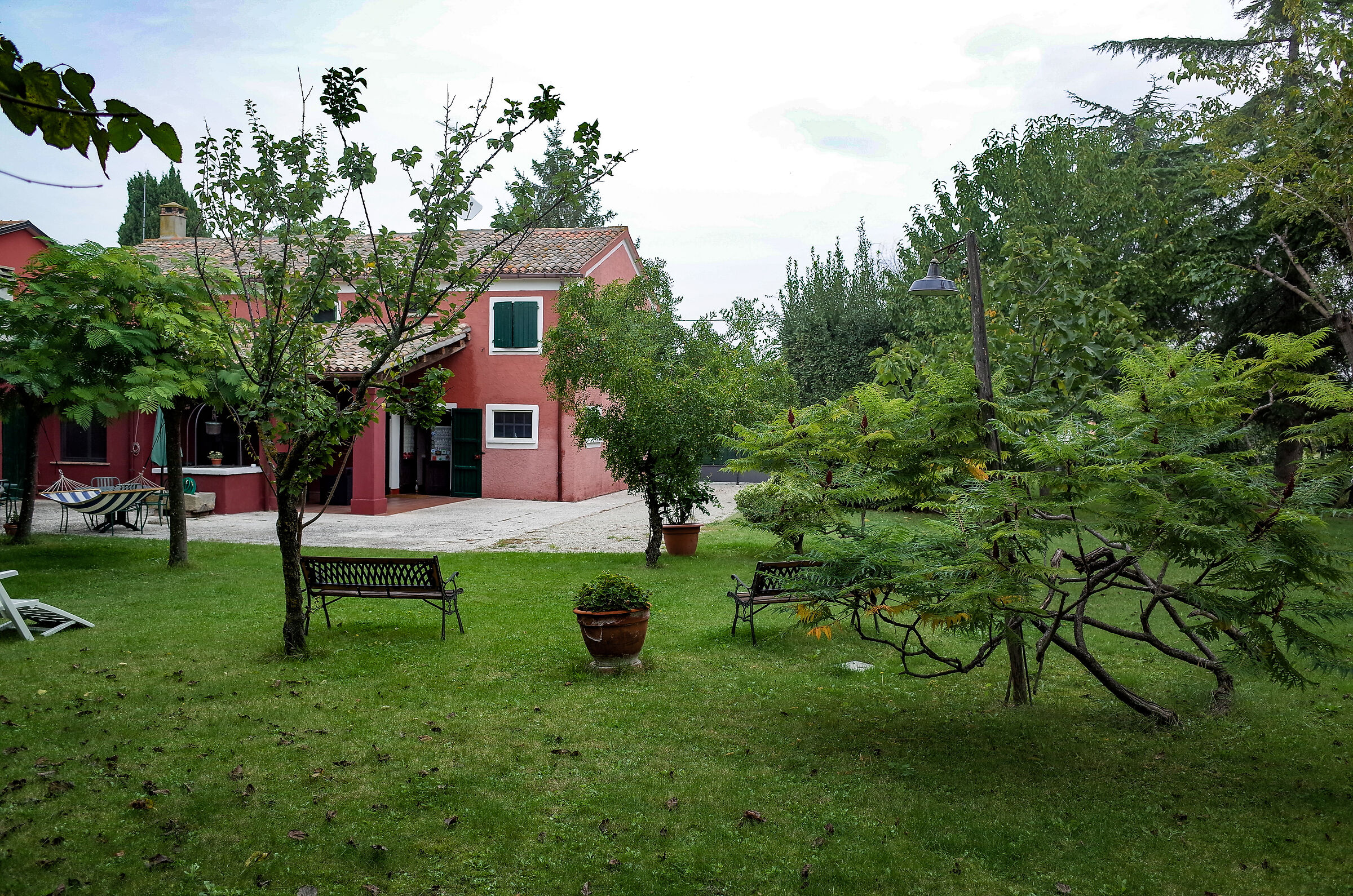 ricoh gr prova fogliame