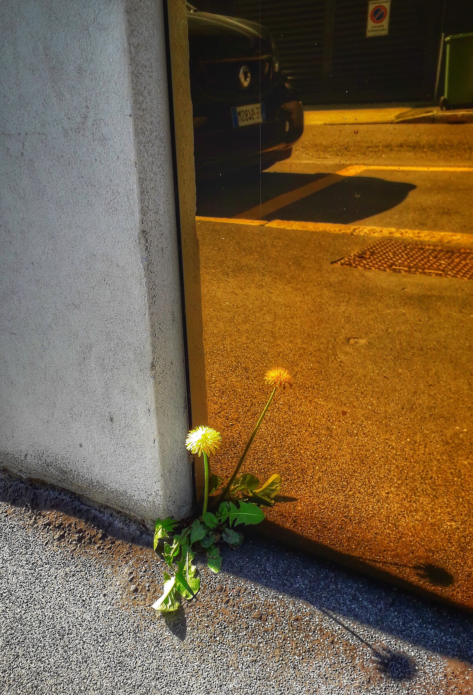 Nature.... Powerful!!