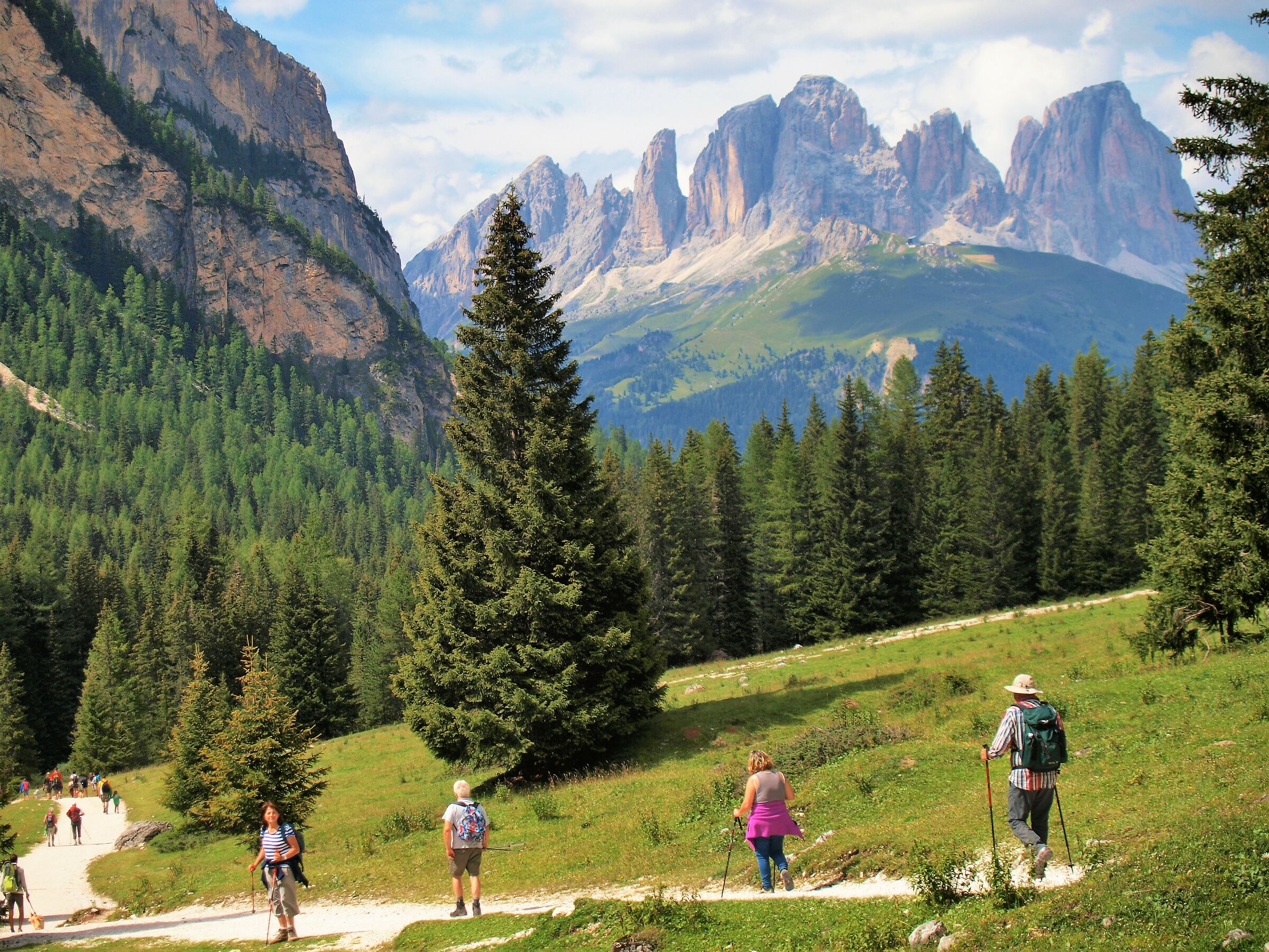 Scendendo dal rifugio Contrin, ( Canazei)