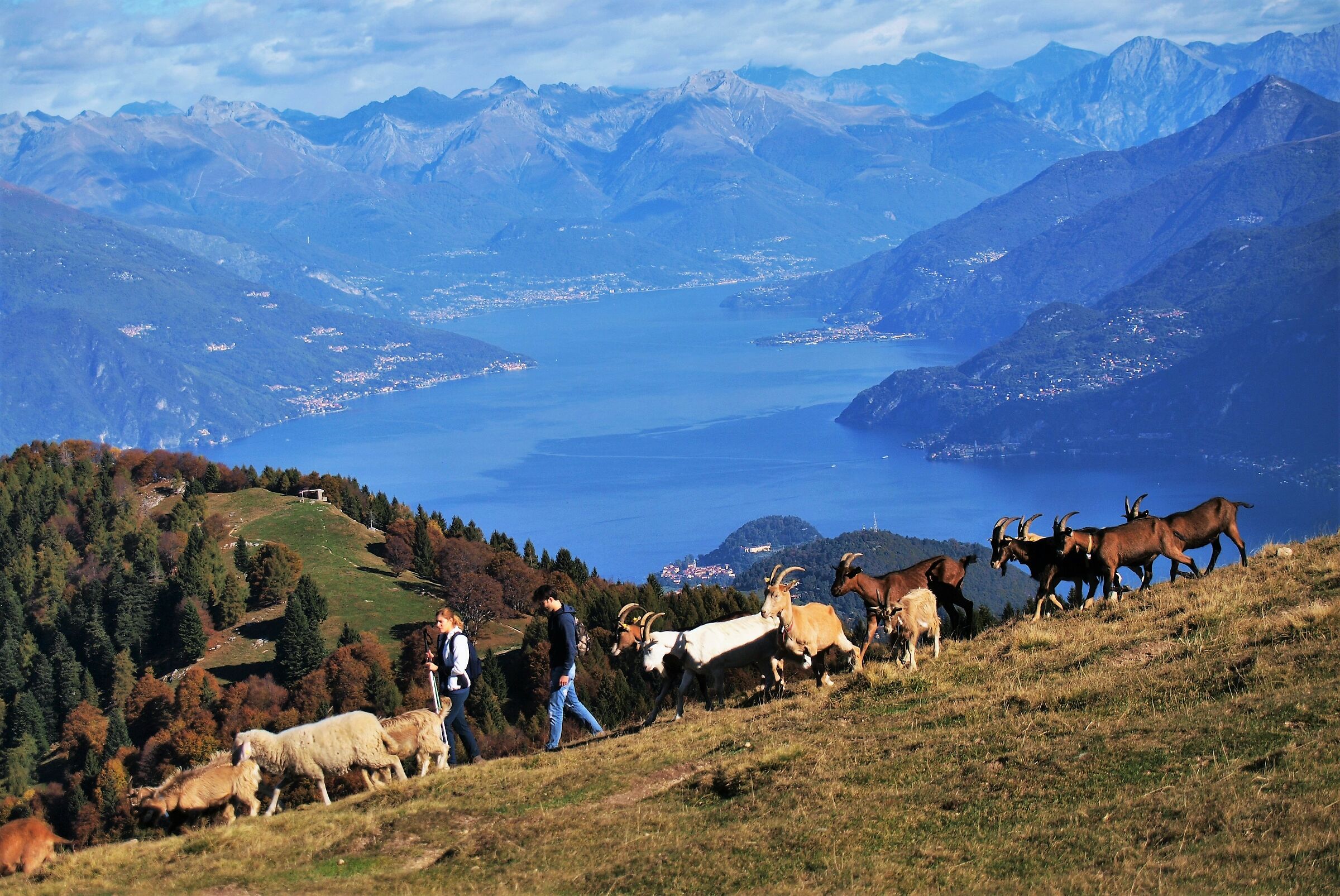 Monte San Primo, Lake Como, in the Lecco side.