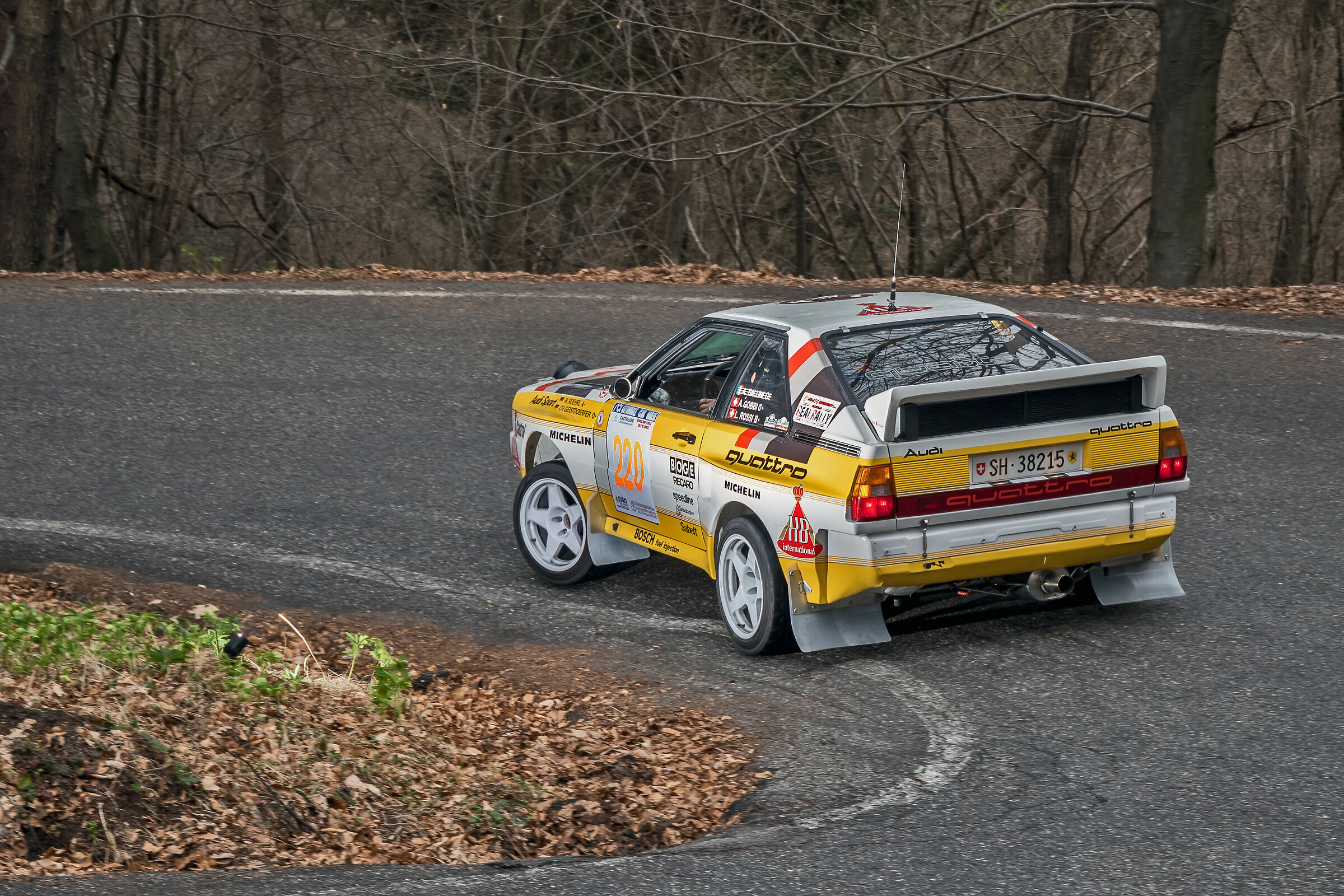Rally dei Laghi 2019 - Land of Quattro