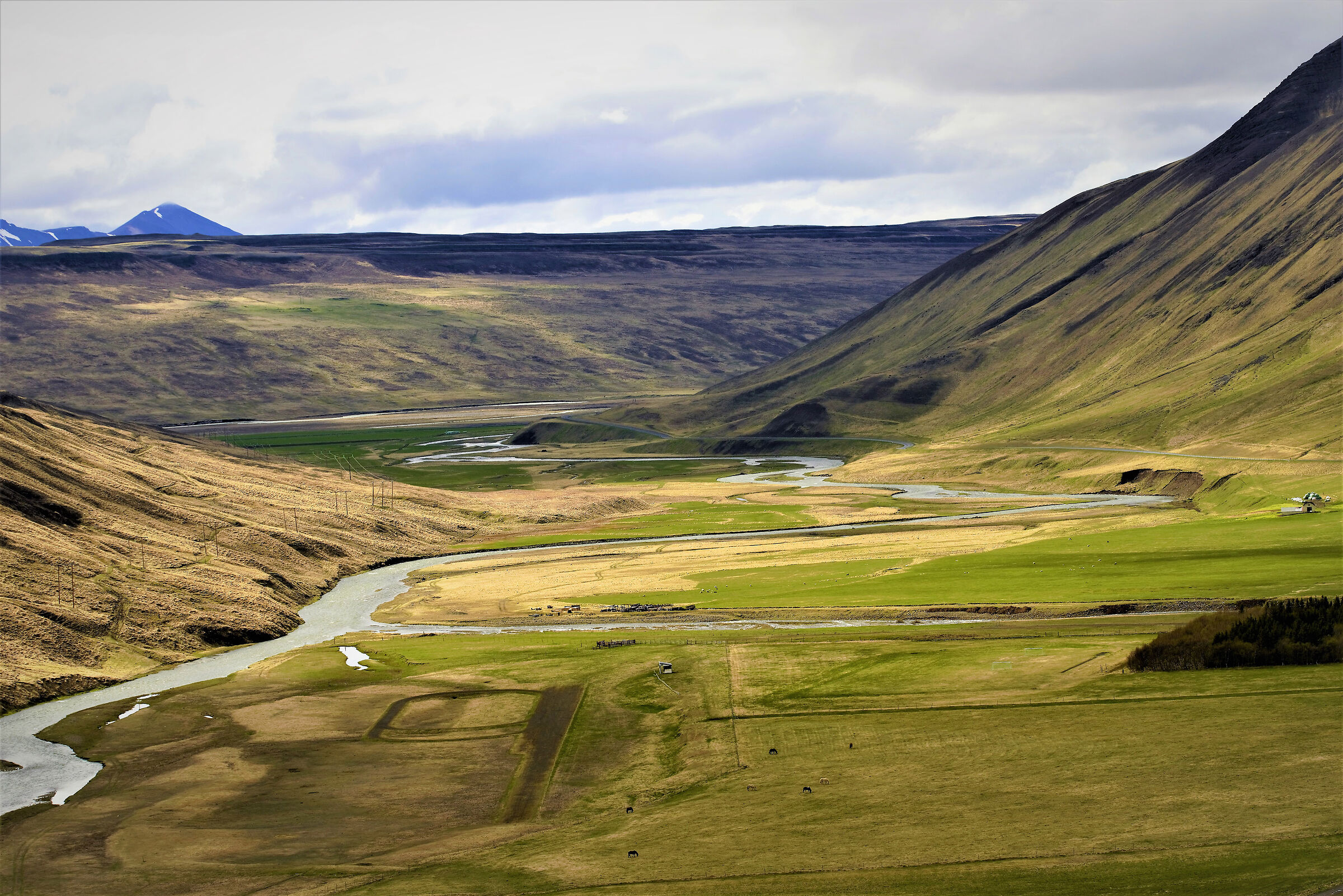 Icelandic Valley