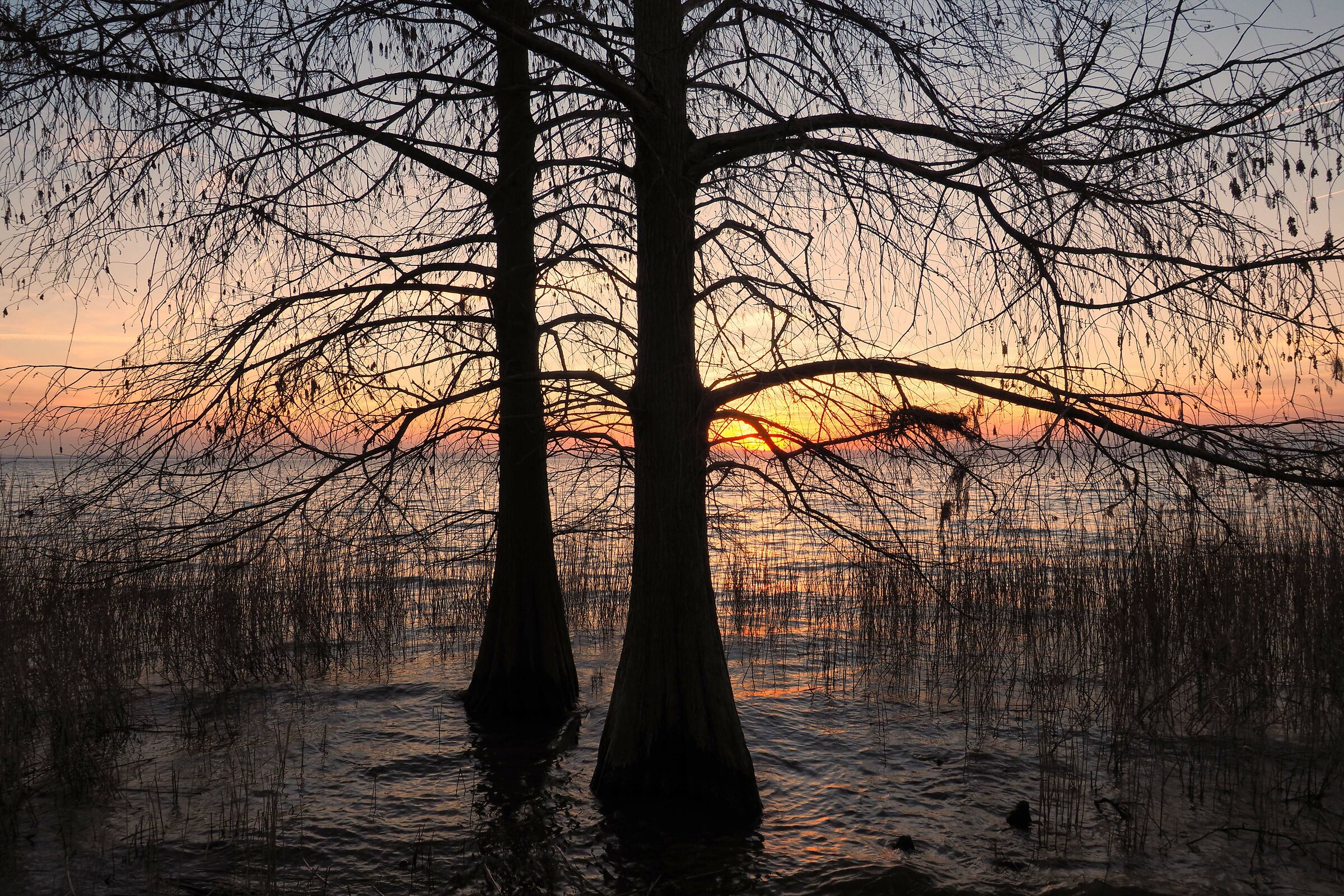 The Flood of the river