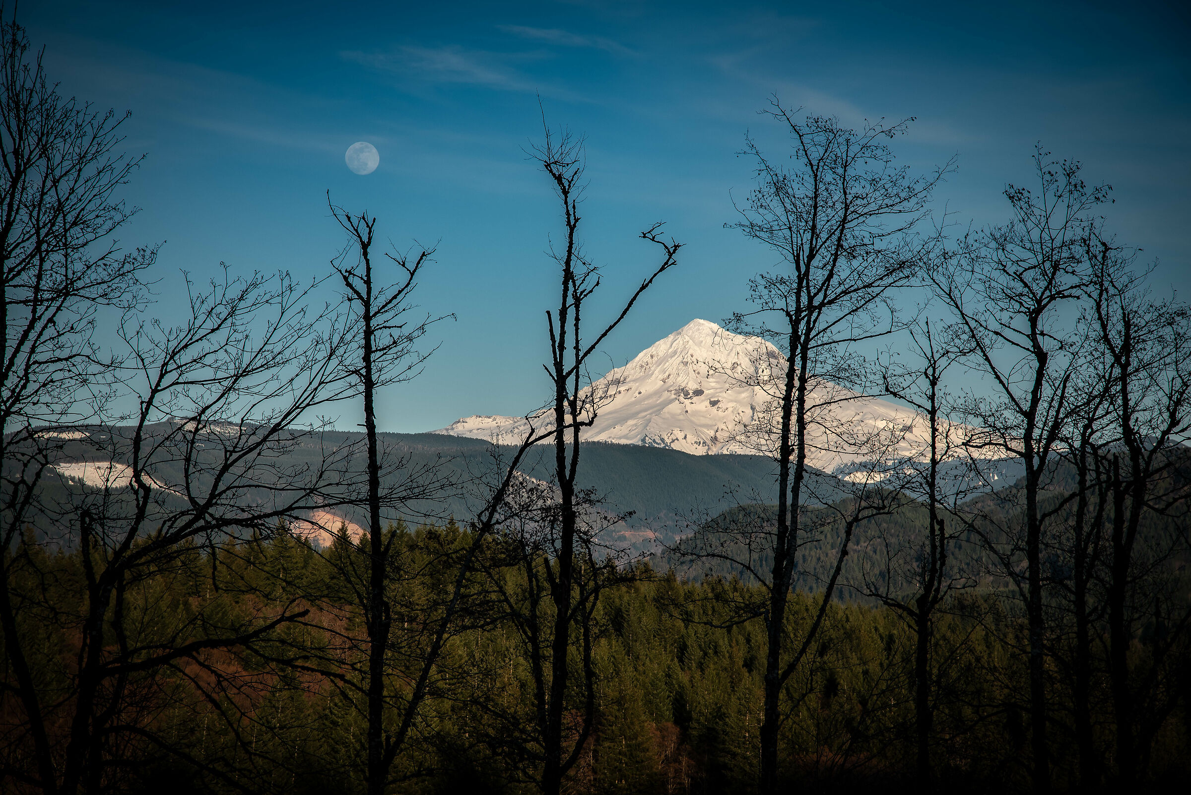 Luna e Mt. Hood
