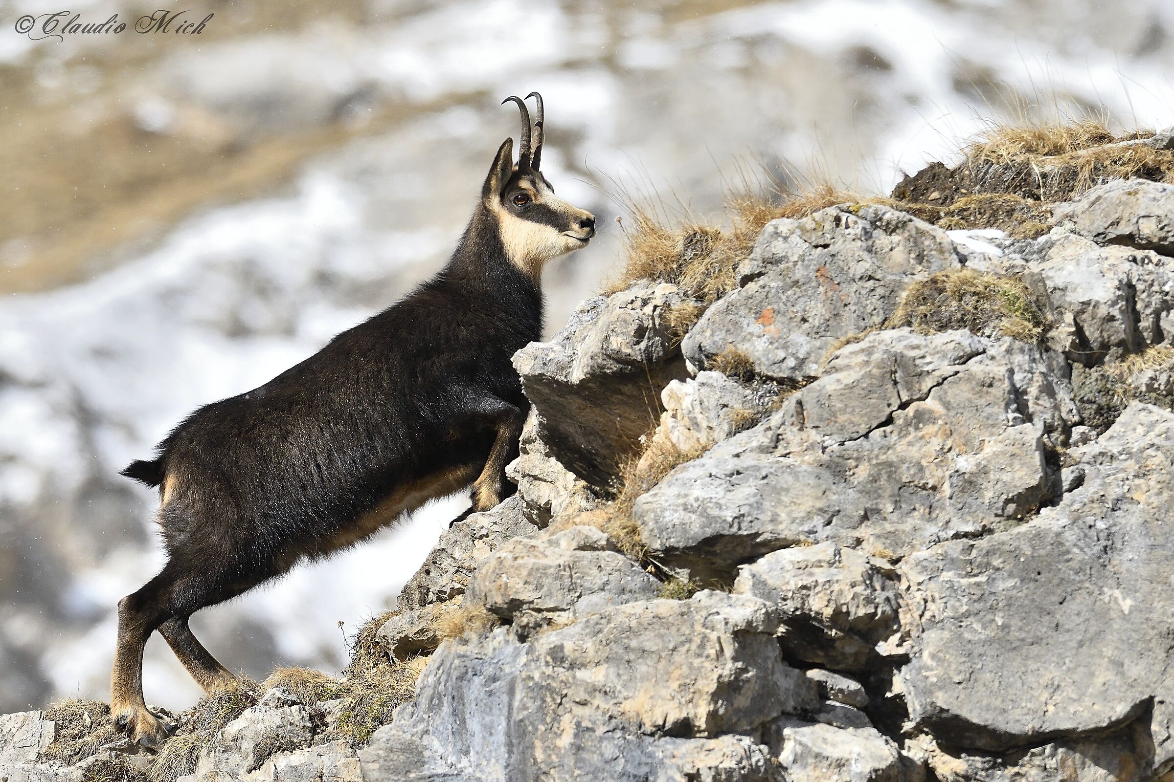 Running through the rocks.
