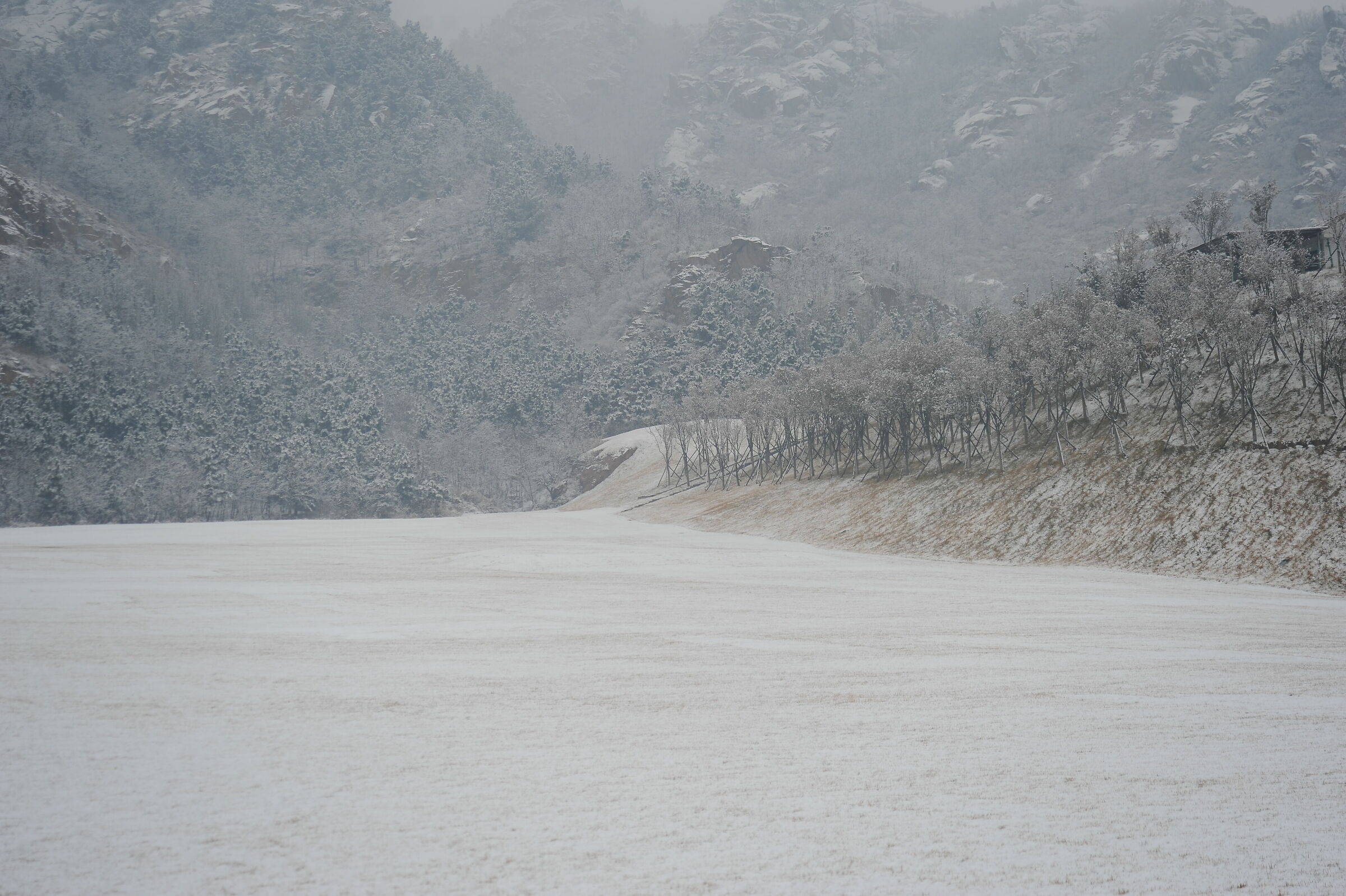 Untitled Photo