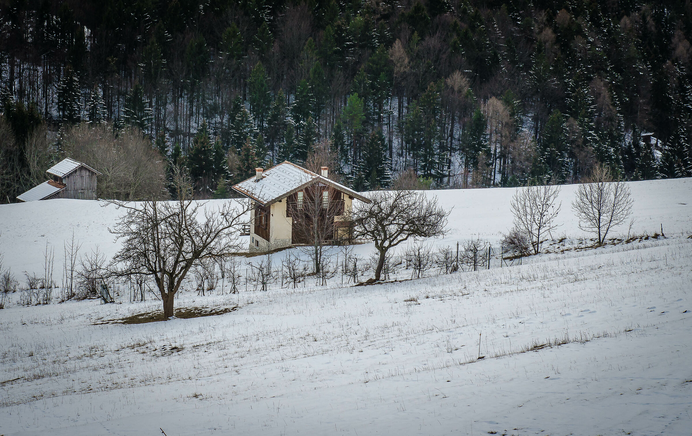 La primavera tarda ad arrivare...