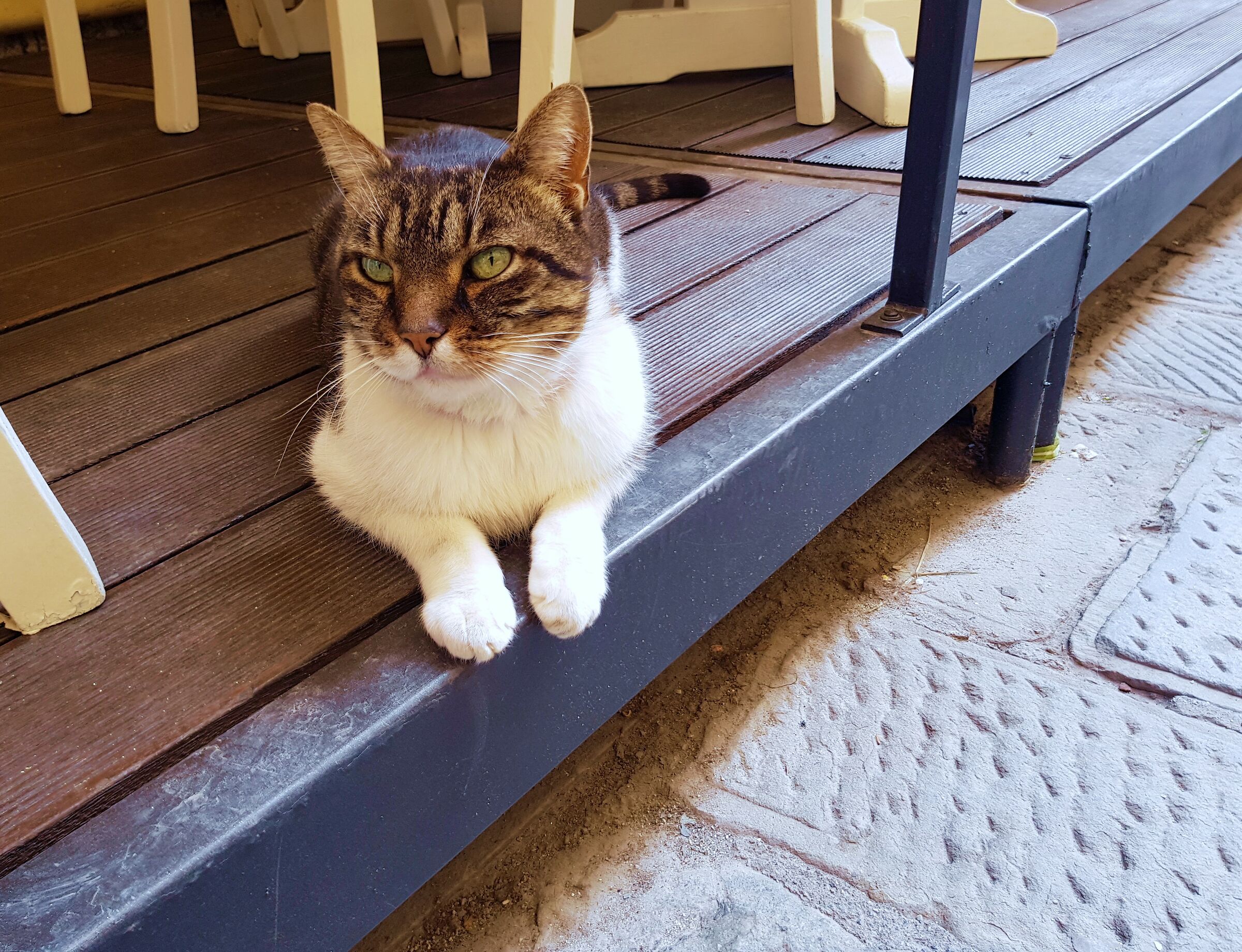 At The Restaurant waiting for food