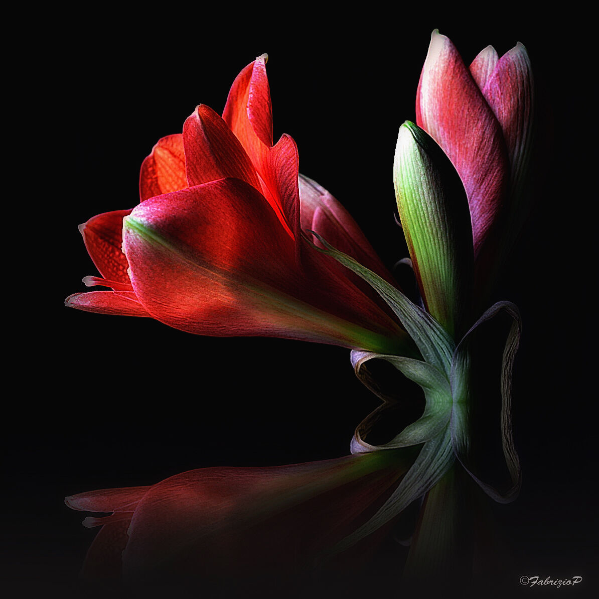 Reflect... to admire