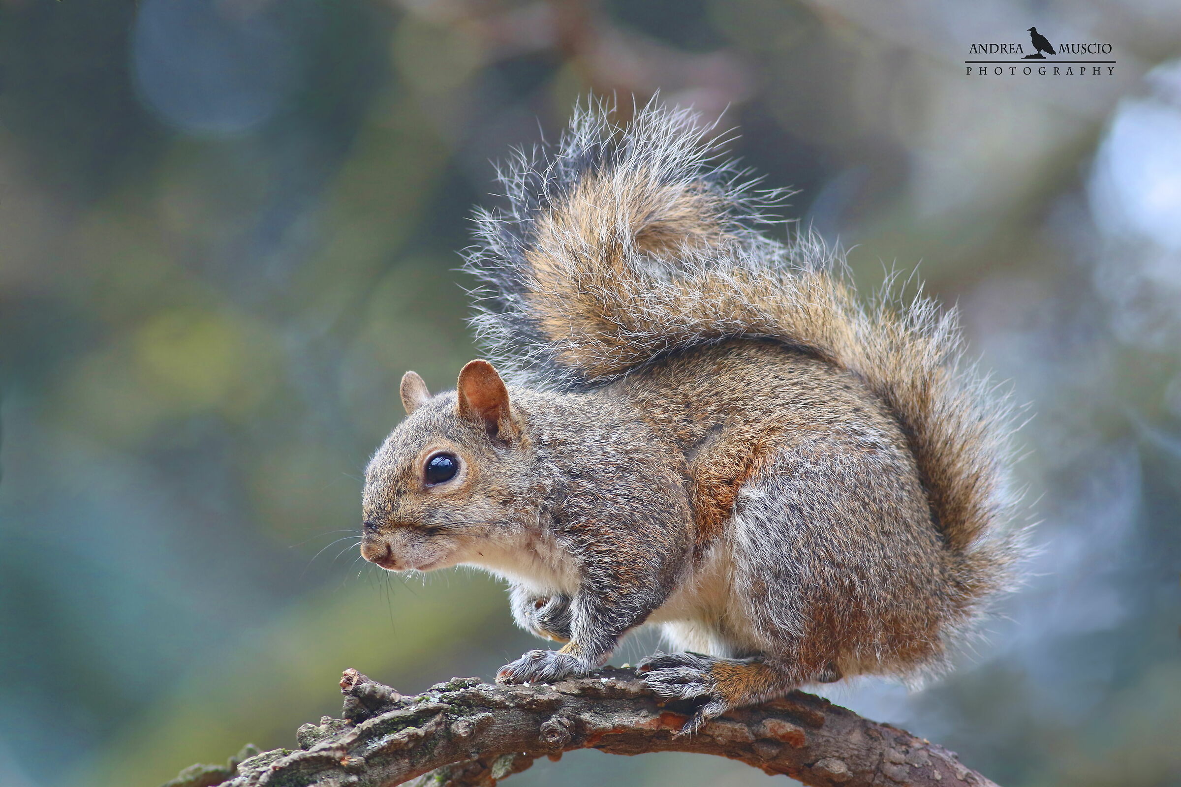 First photo with 7D2