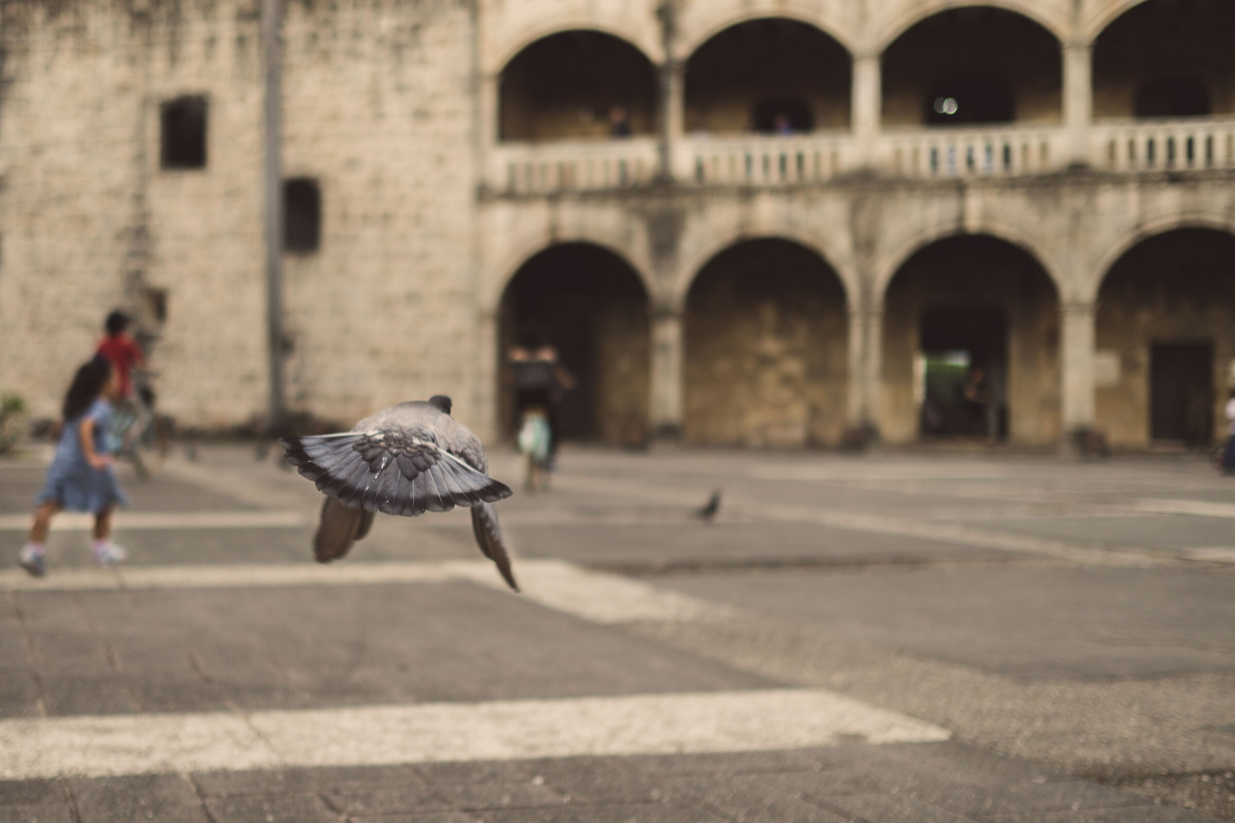 Castillo de Cristobal Colón