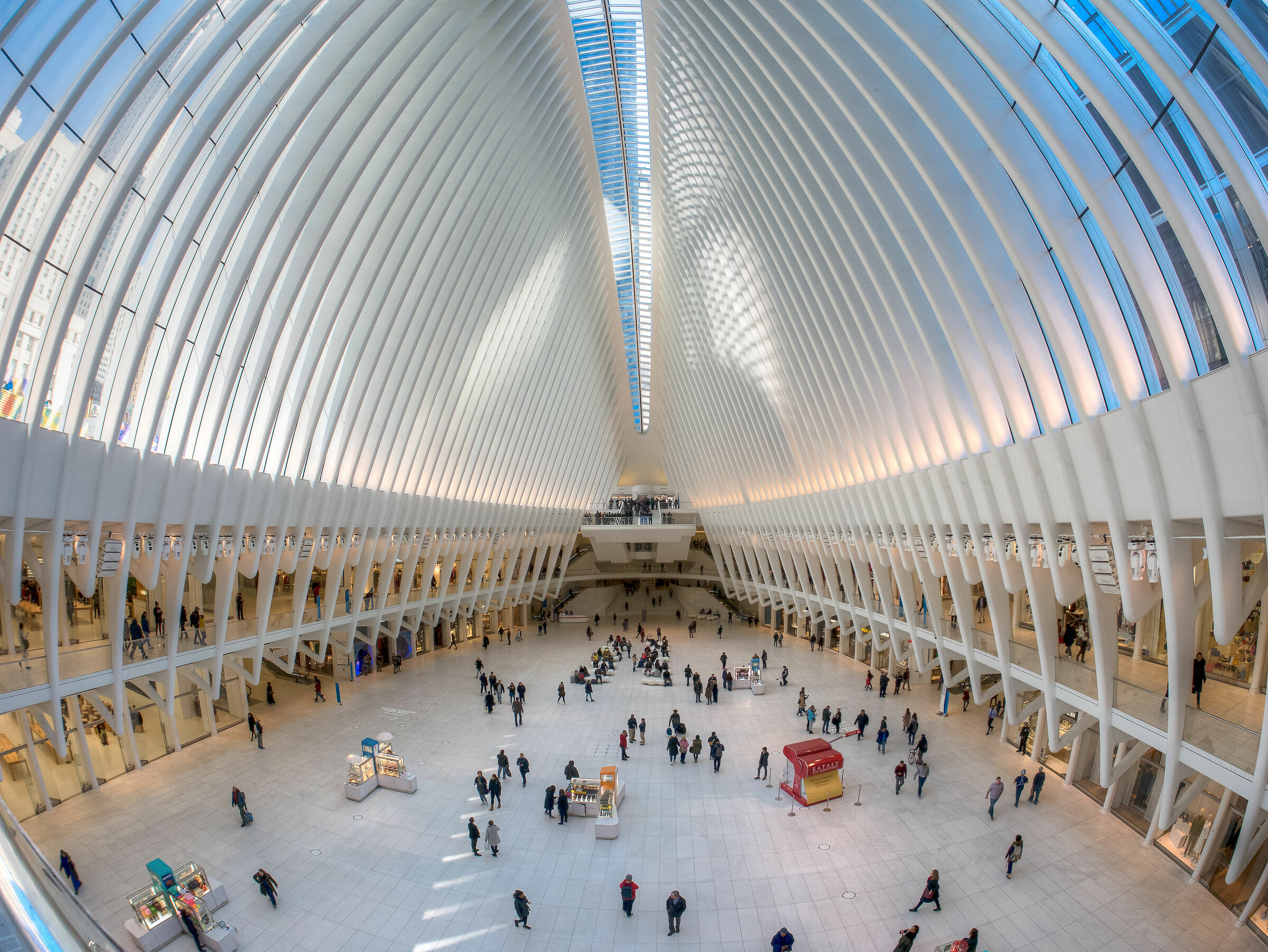 Oculus
