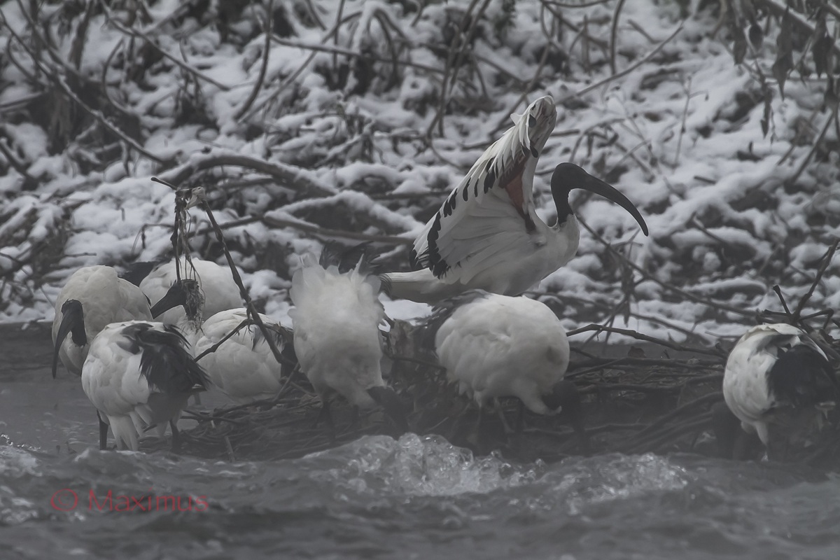 ..freddo.. molto freddo...