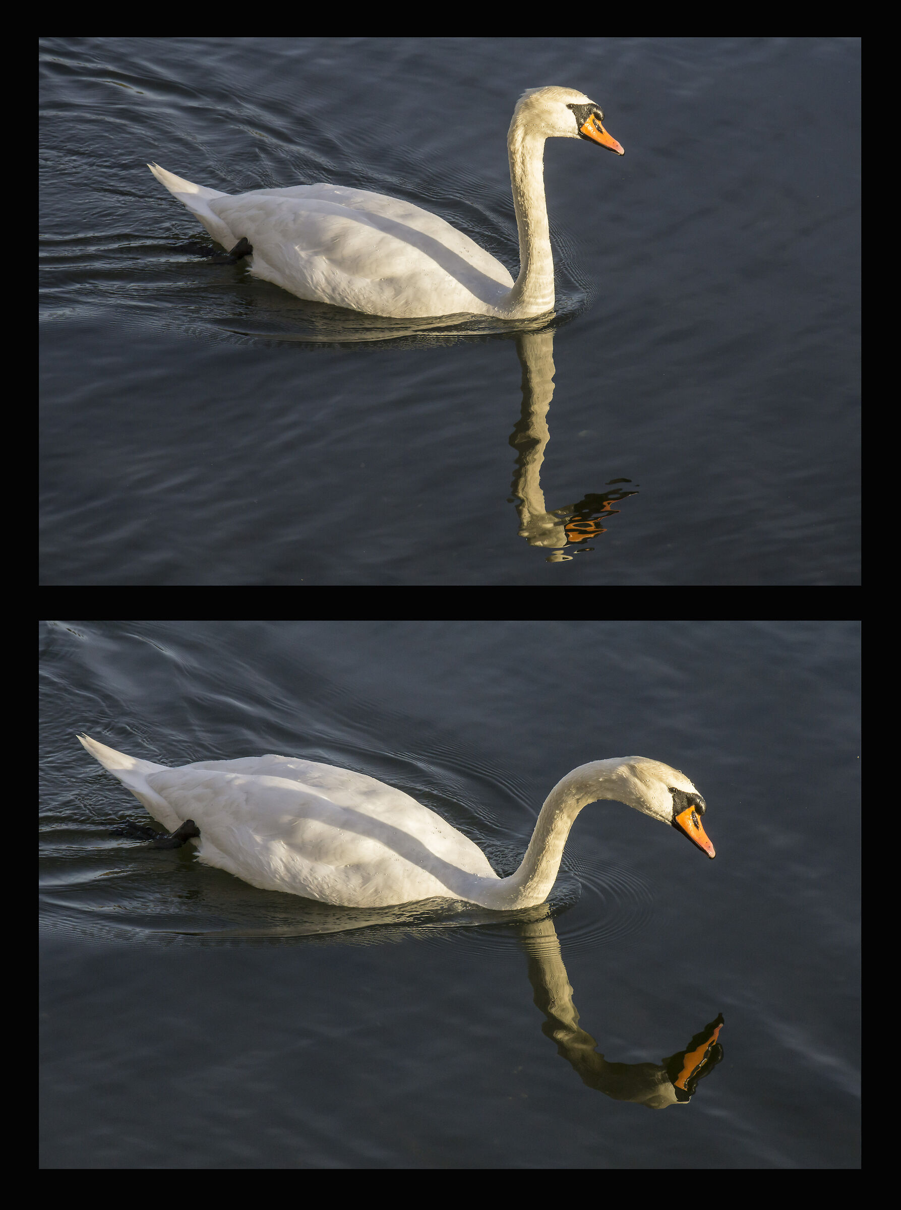 Venerdì 15 marzo 2019, 17:38