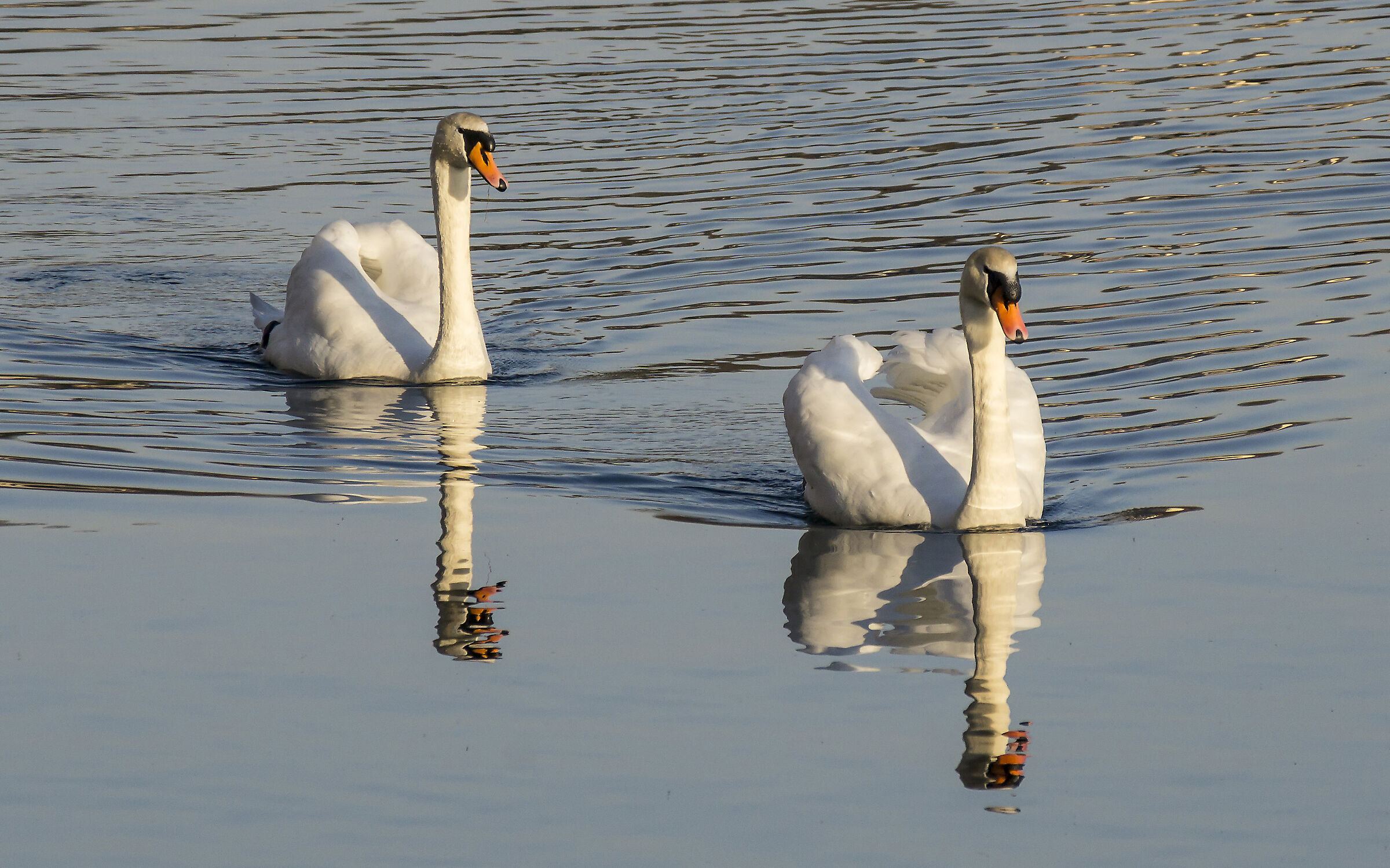 Mercoledì 20 marzo 2019, 17:33:20
