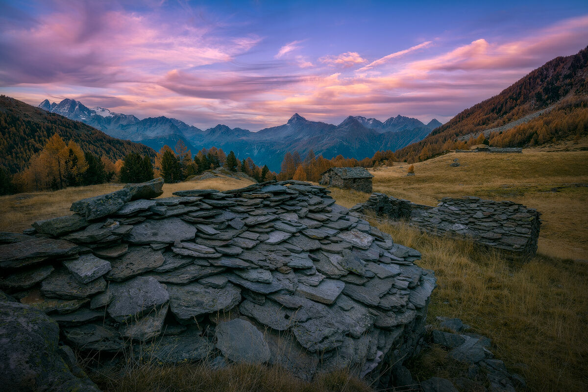 Alone on the way back