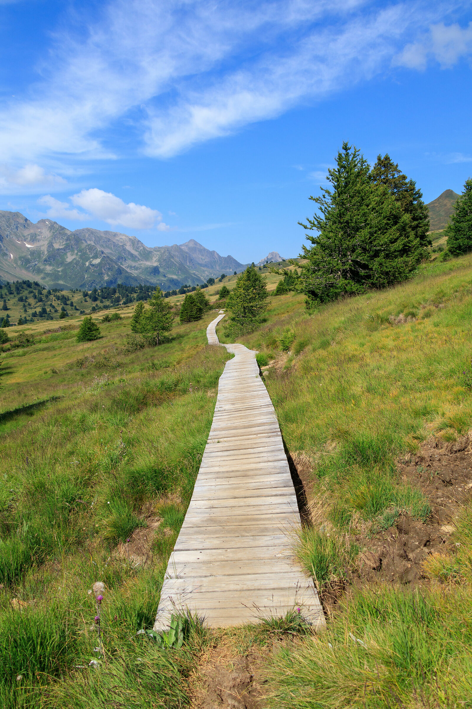 Wooden Walkway-Dötra