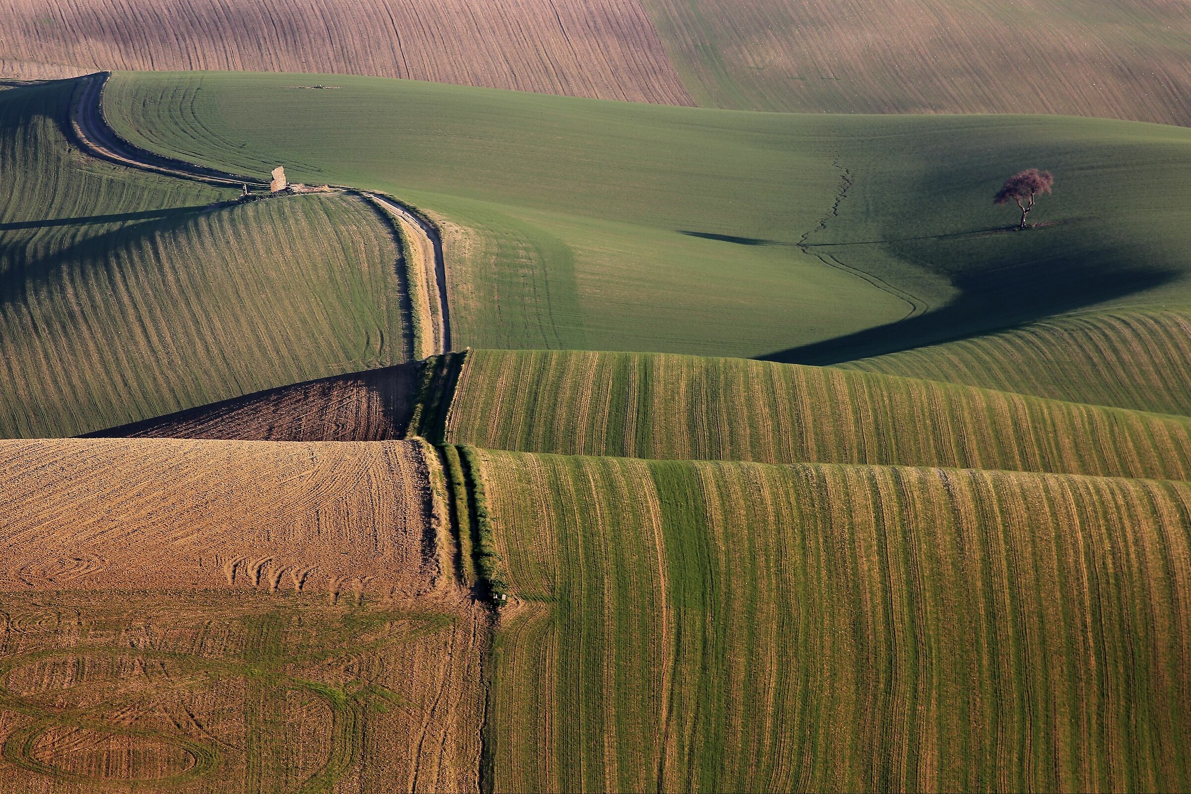 Le rughe della nostra terra
