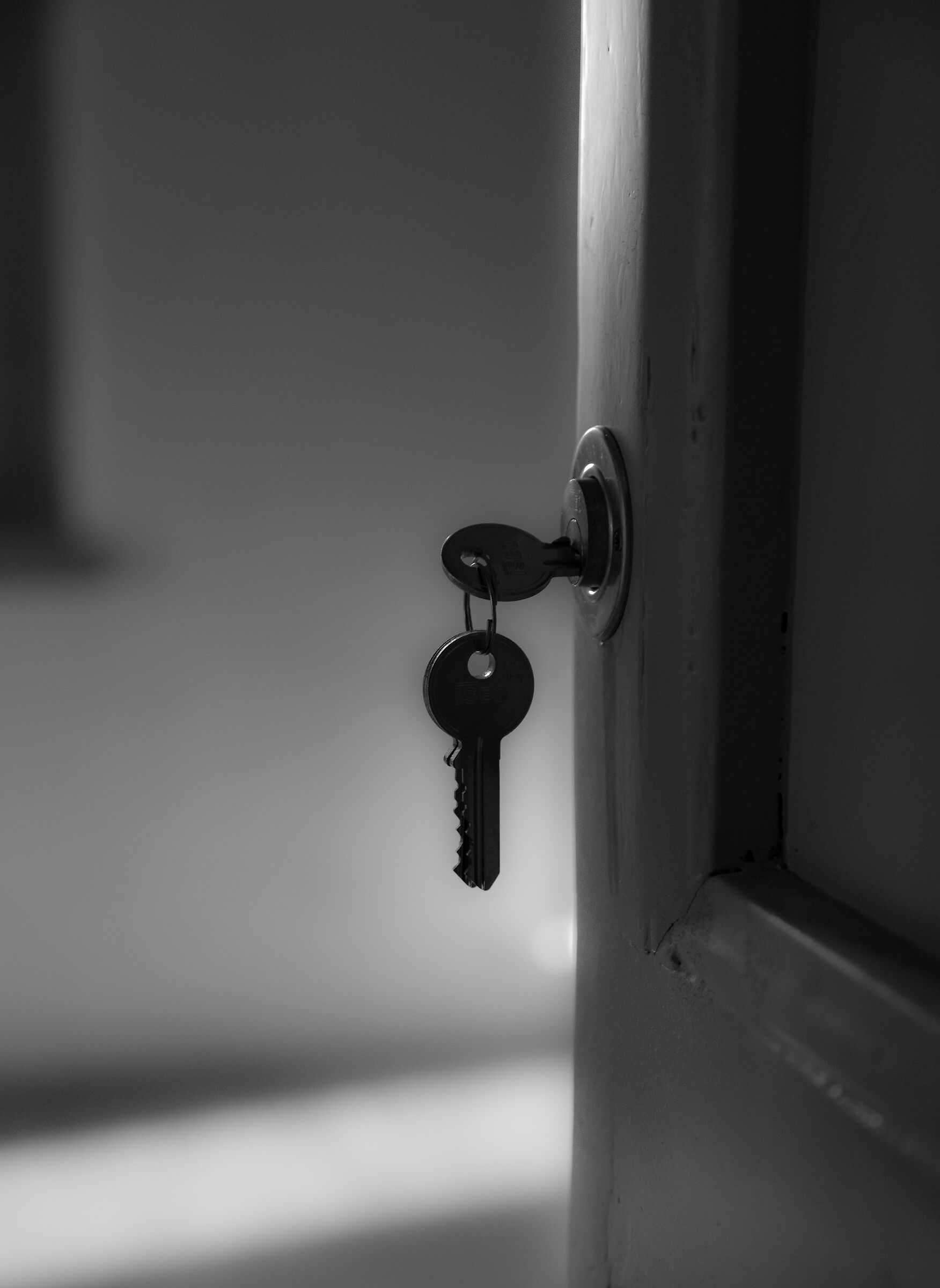 The key opens the door, but only the right one!