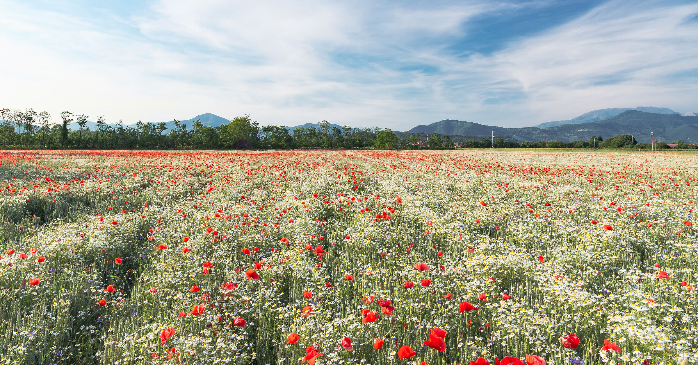 March 21, Welcome Spring.