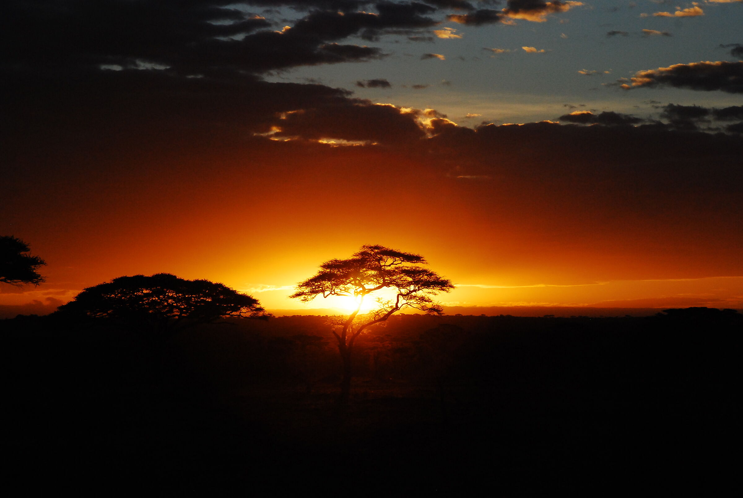 Serengeti Park, Tanzania