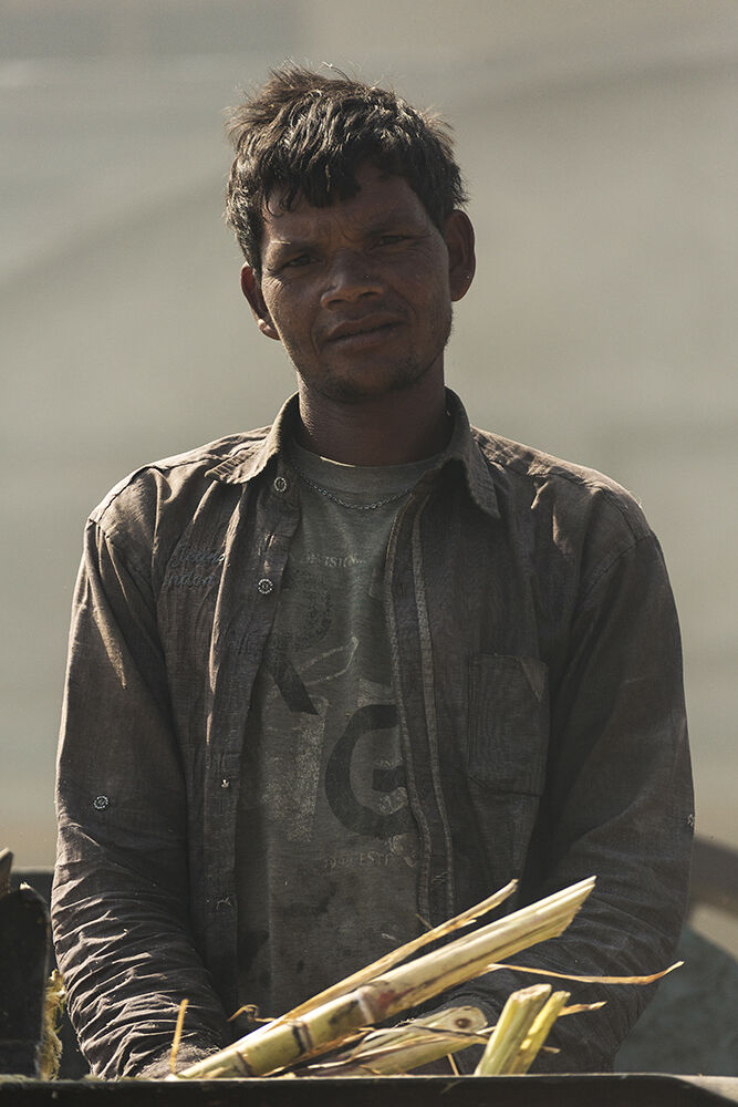 FACTORY WORKER CANE SUGAR
