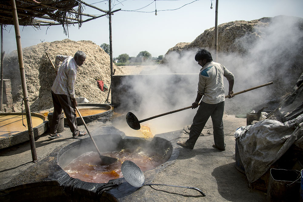 CANE SUGAR FACTORY