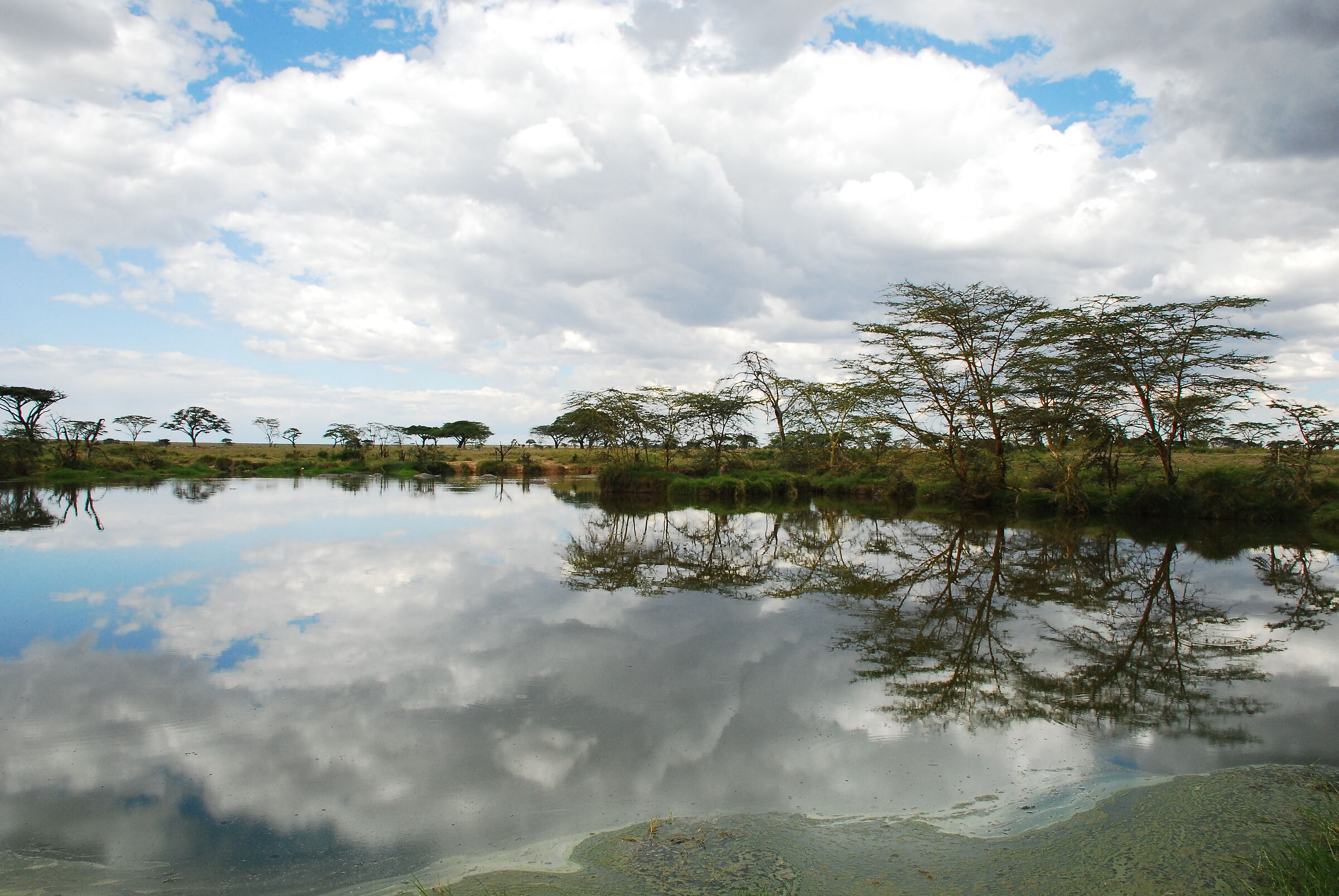 Serengeti Park, Tanzania
