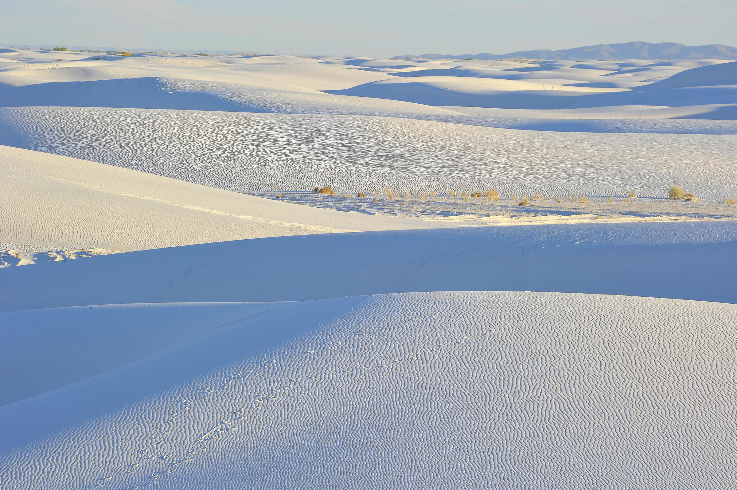 White Sand Dunes, New Mexico