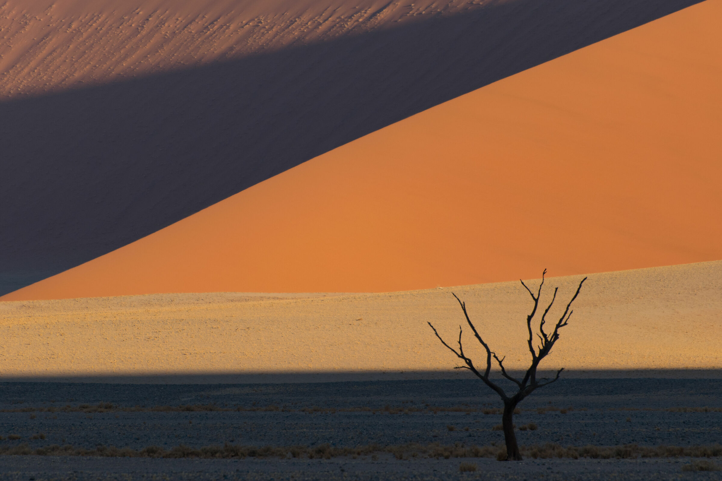 Namib Desert, Namibia