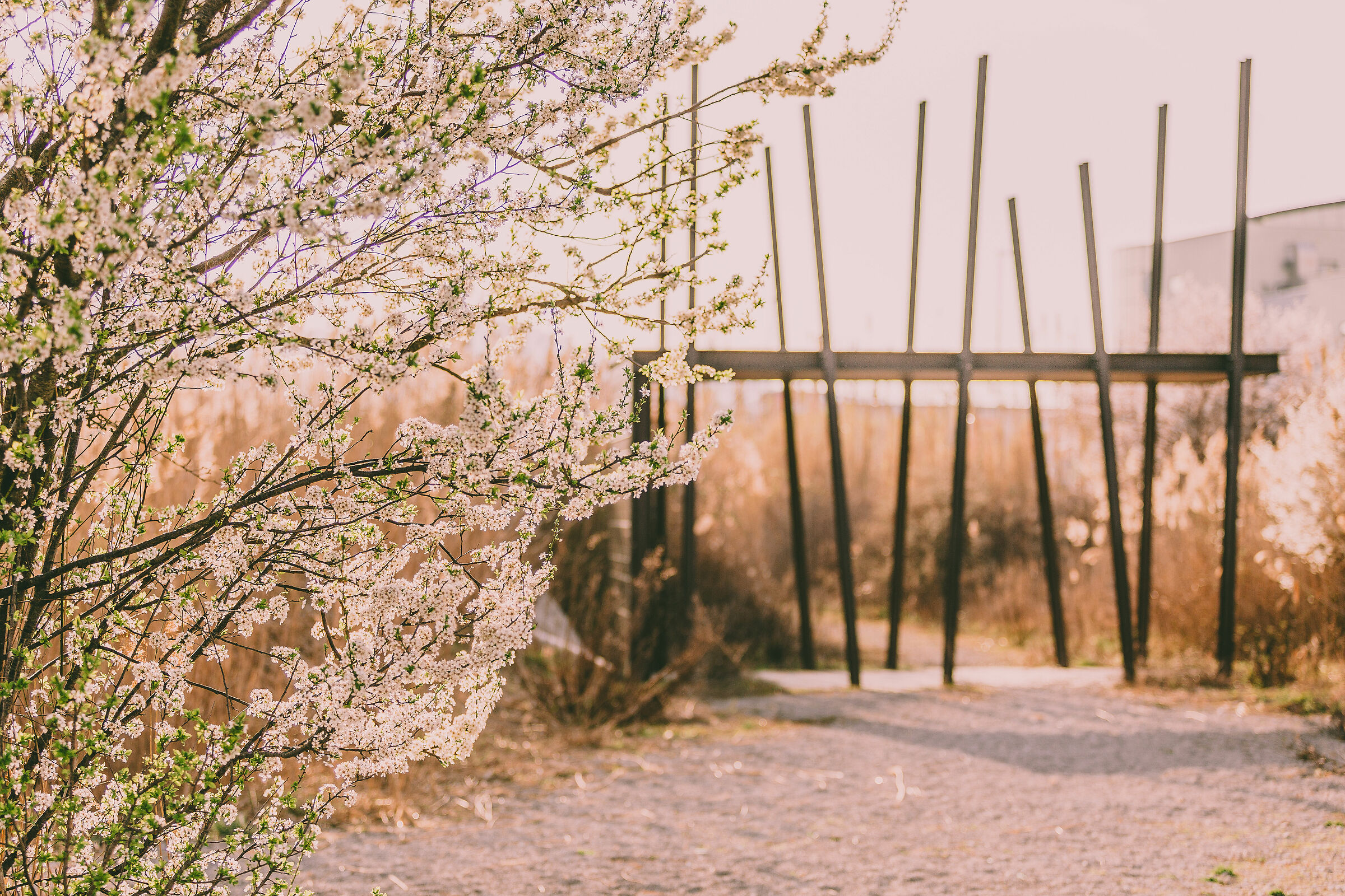 Arrivata la primavera
