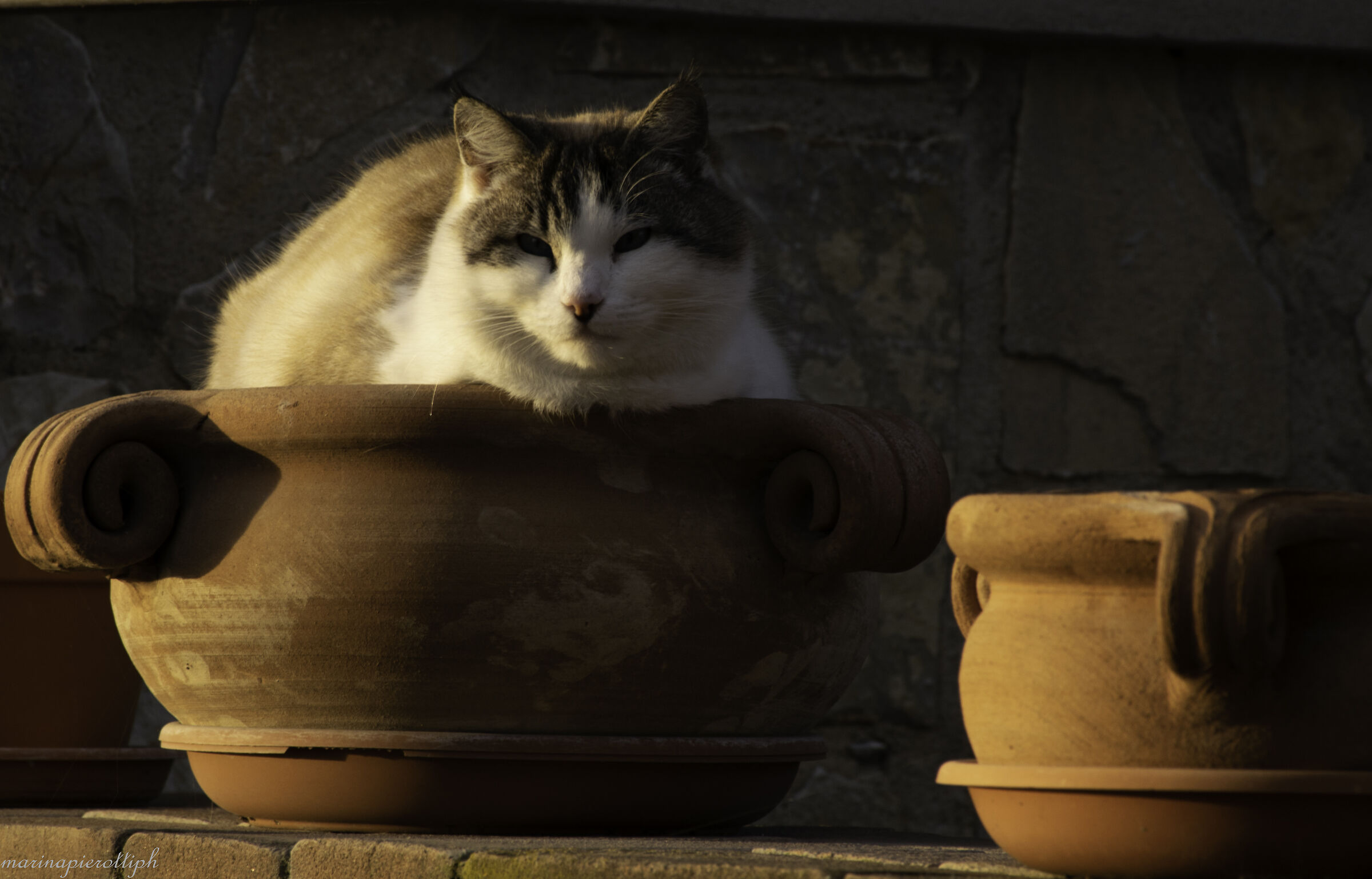illuminato dal tramonto