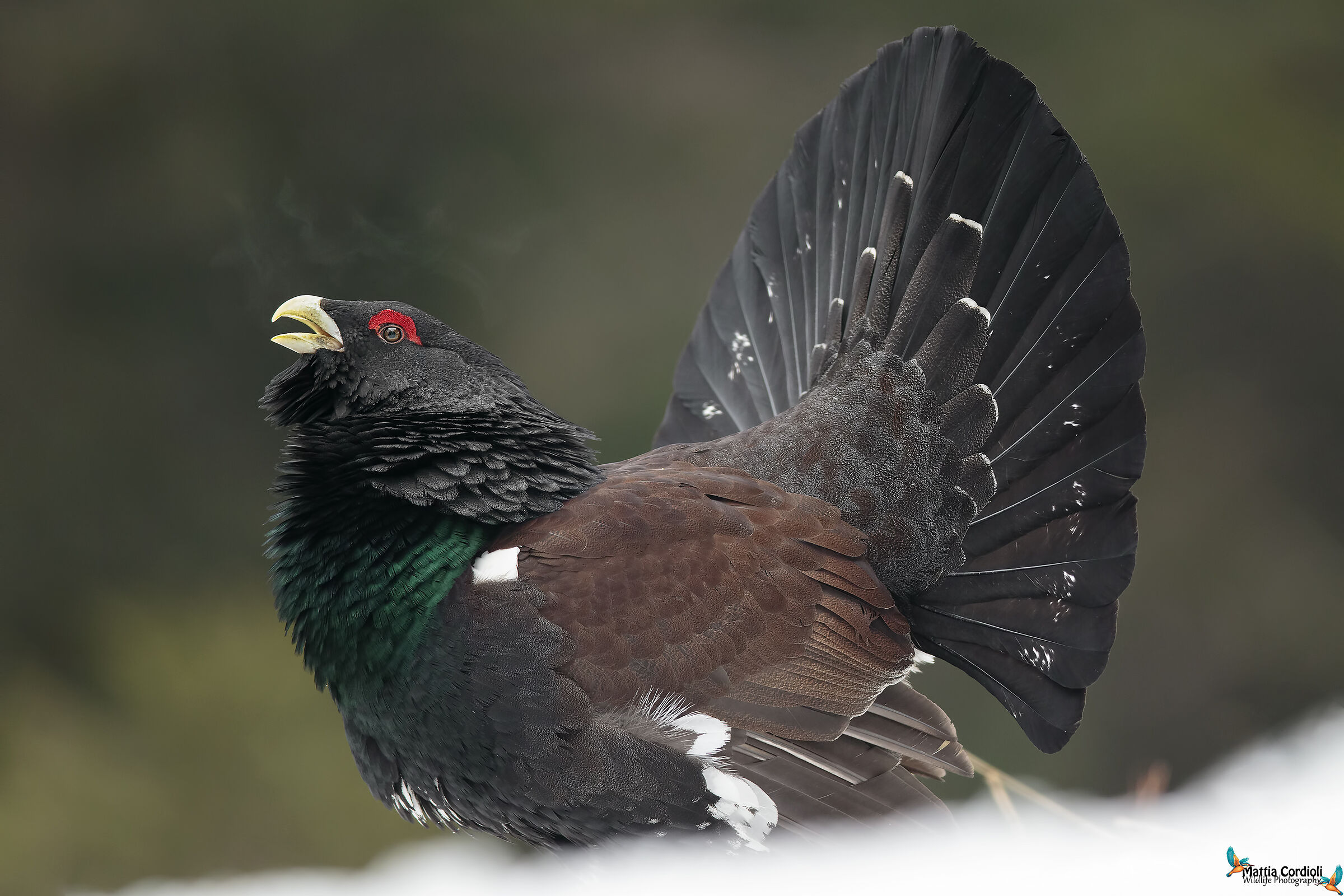 il respiro del guerriero