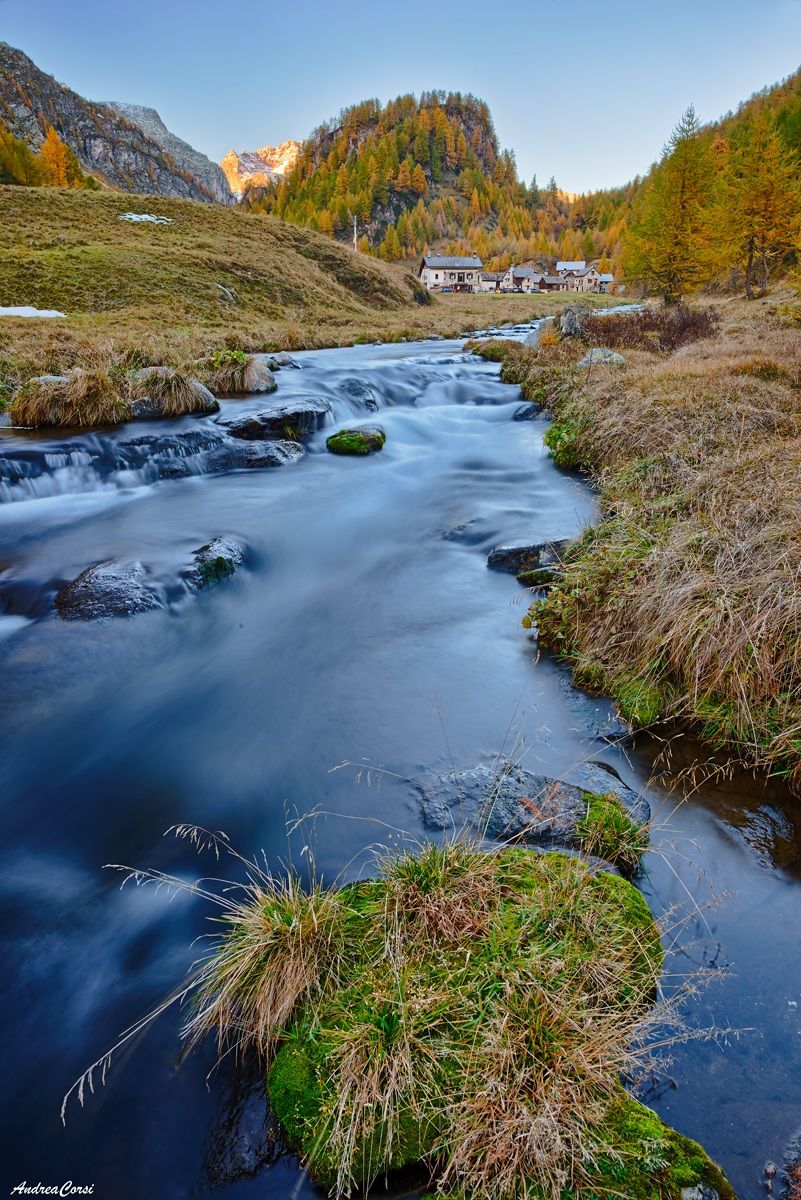 dove tutto si dimentica