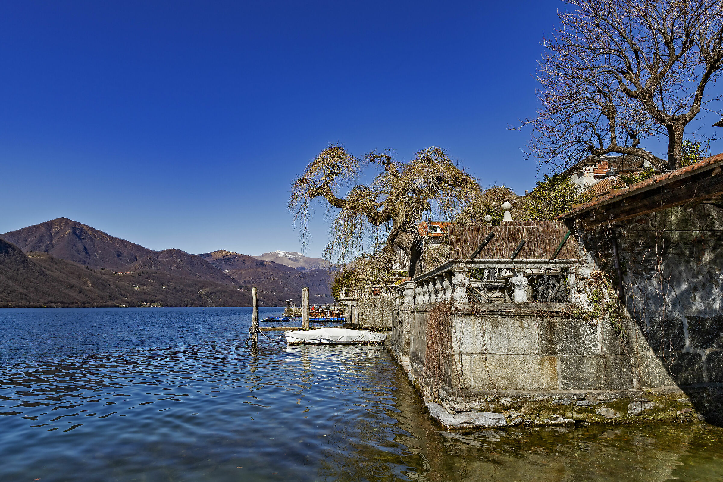 Arsenico e vecchi merletti