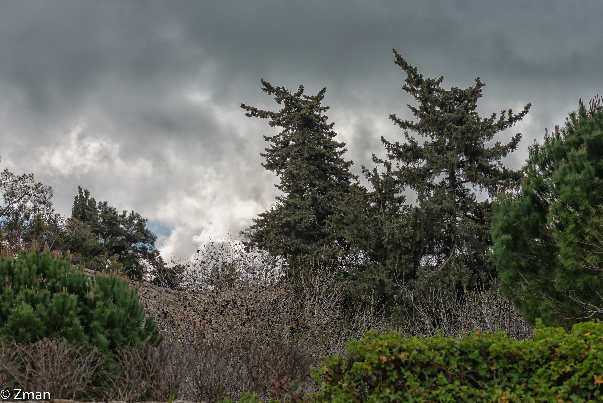 Sawaneh il nostro posto