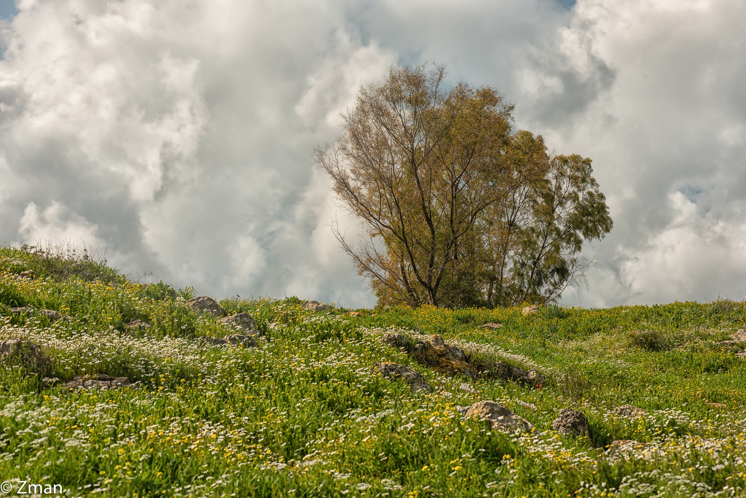 Sawaneh il nostro posto