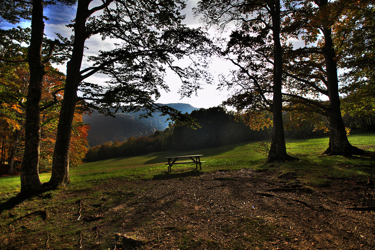 Autumn in Santa Franca