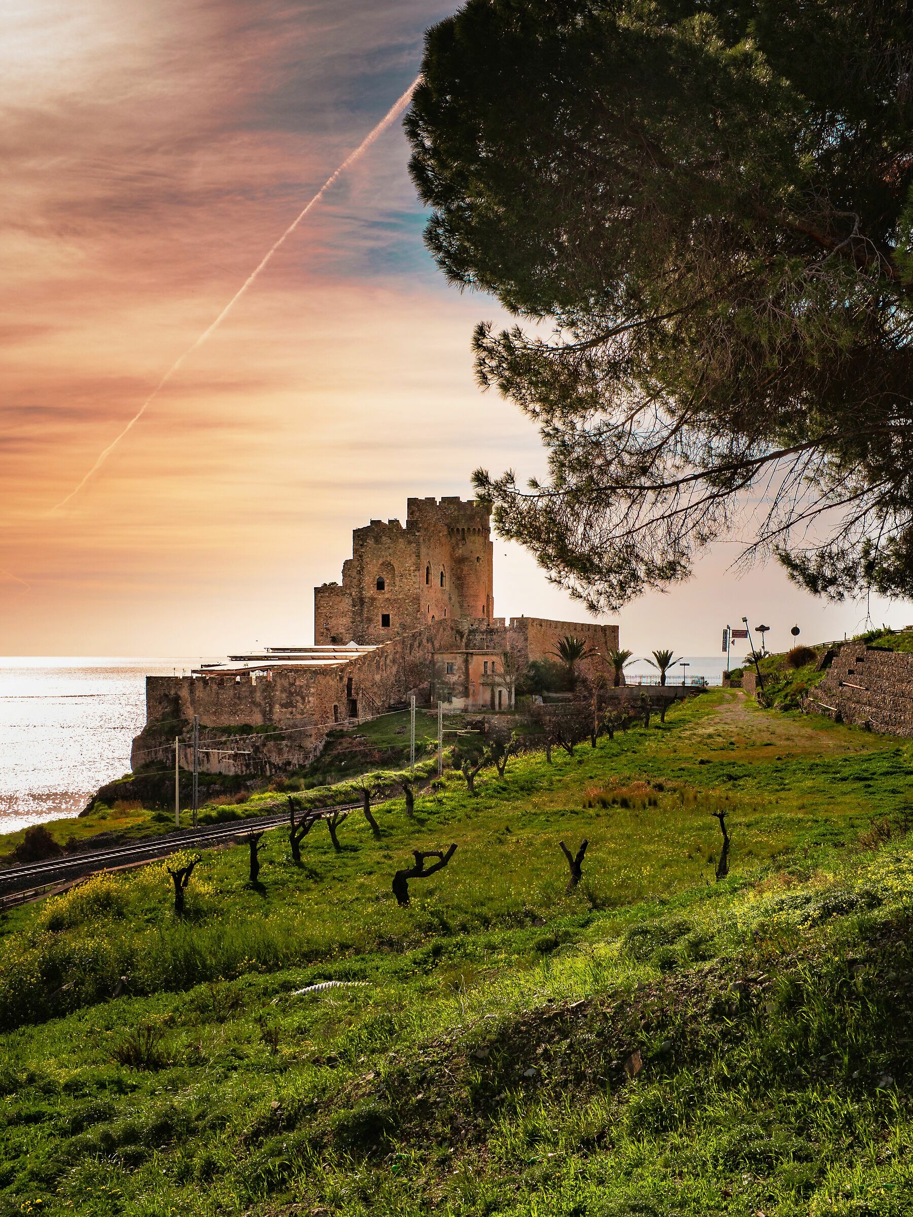 Castrum Petrae Roseti