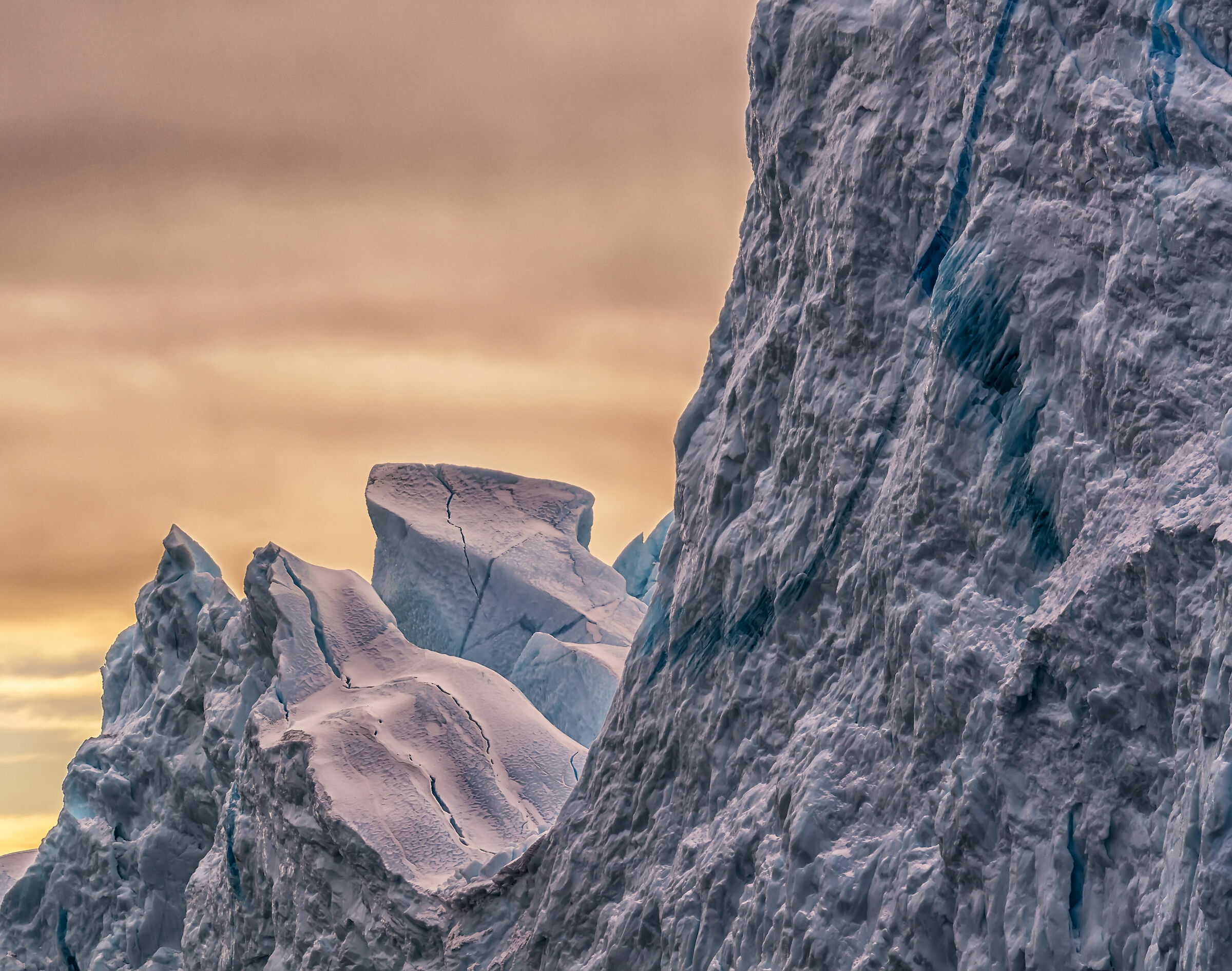 The Colors of the Arctic
