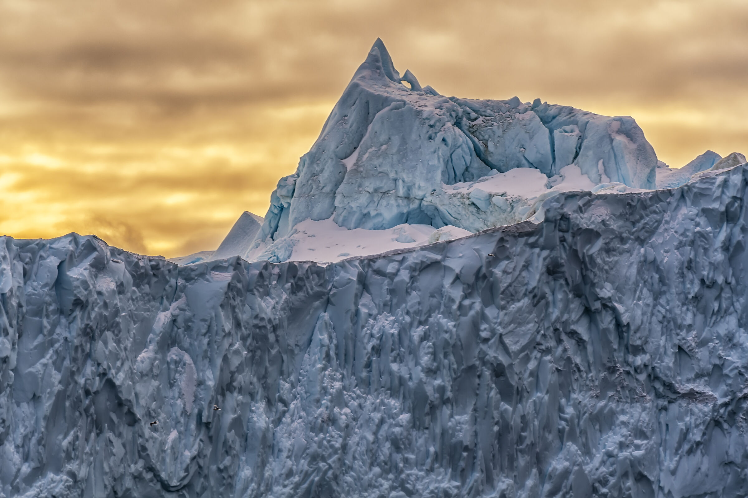 The Colors of the Arctic