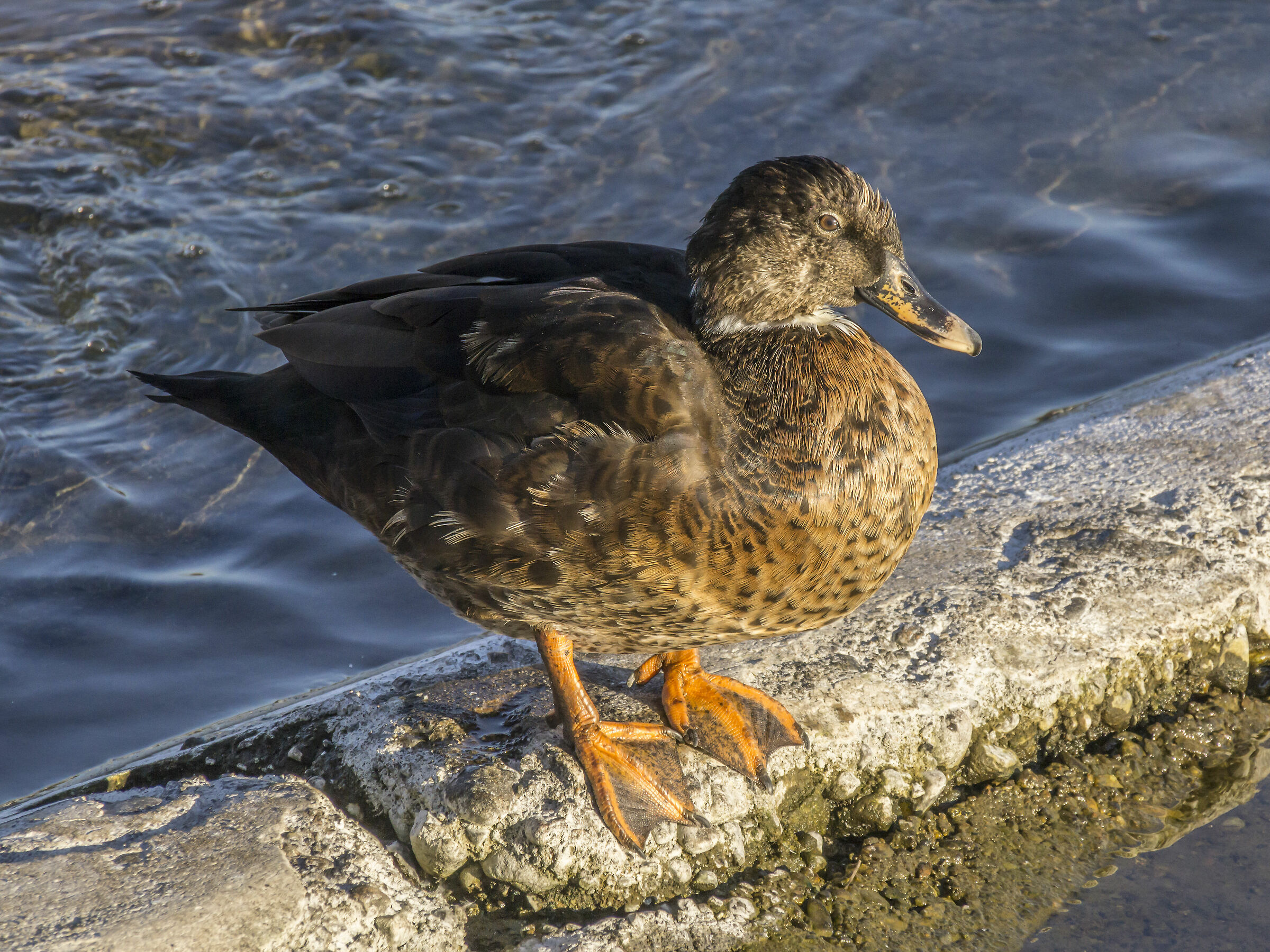 Tuesday, March 19, 2019, 17:22