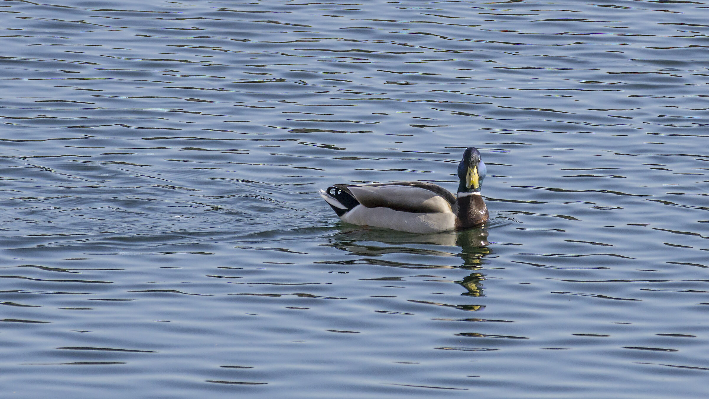 Thursday, March 21, 2019, 16:23