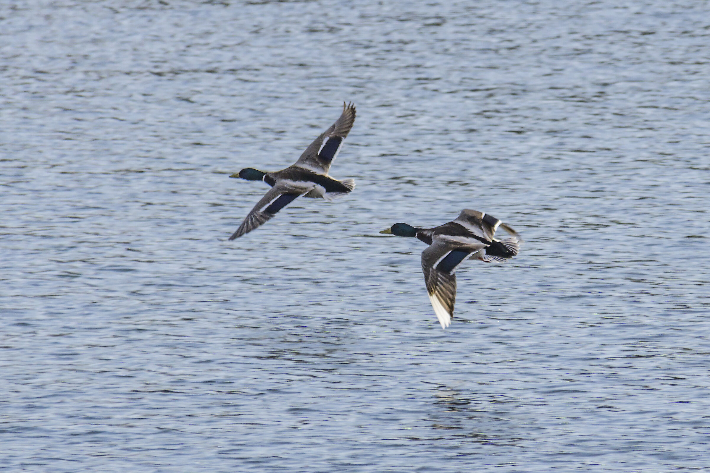 Thursday, March 21, 2019, 16:26