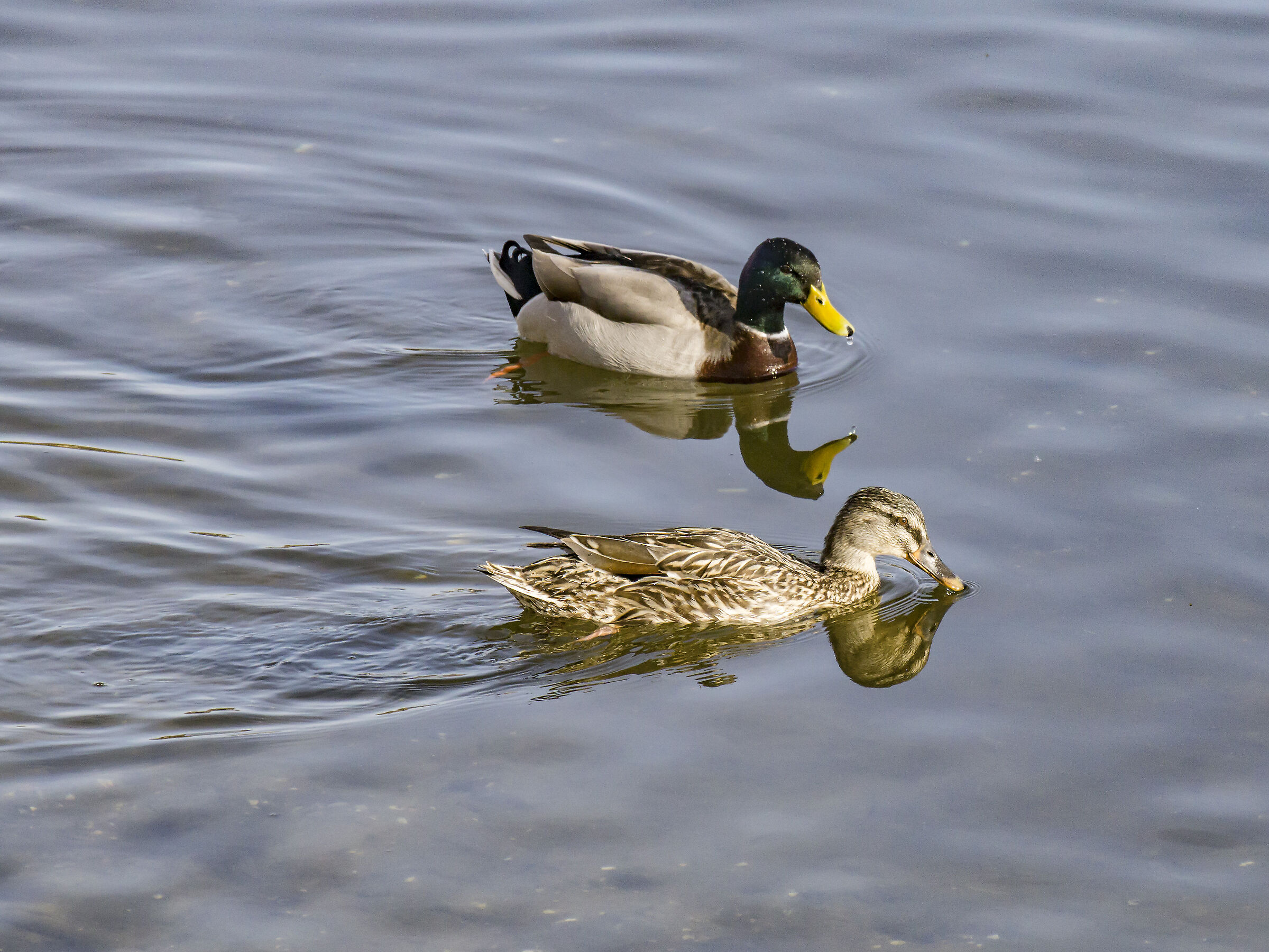 Thursday, March 21, 2019, 16:28