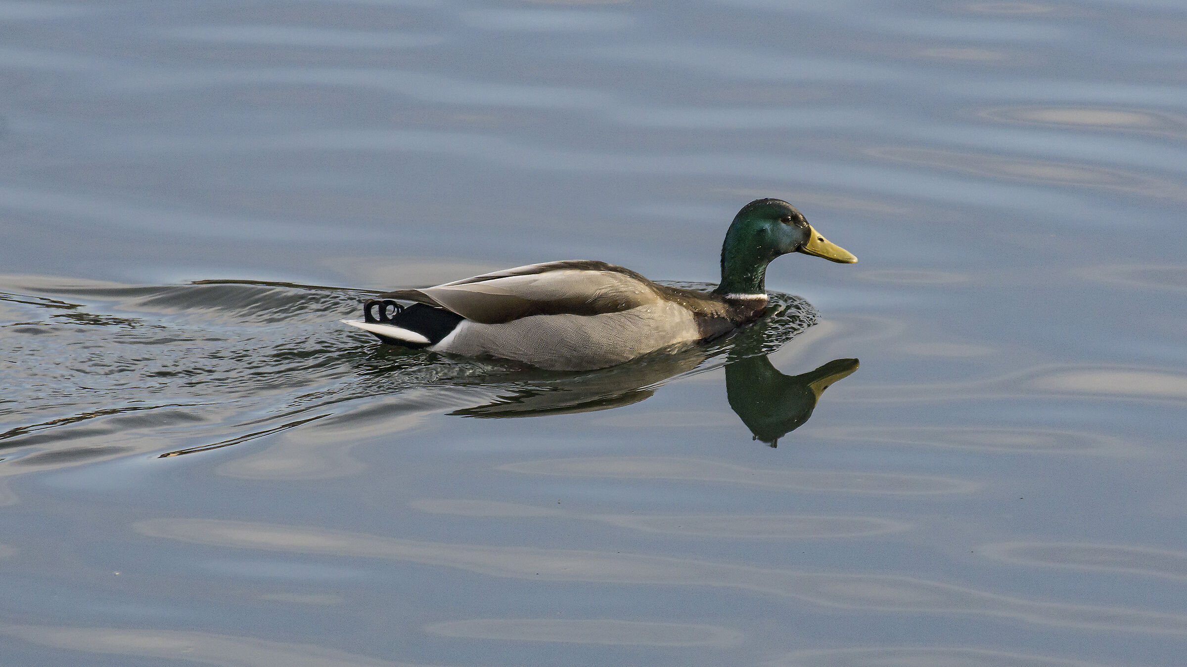 Thursday, March 21, 2019, 17:14