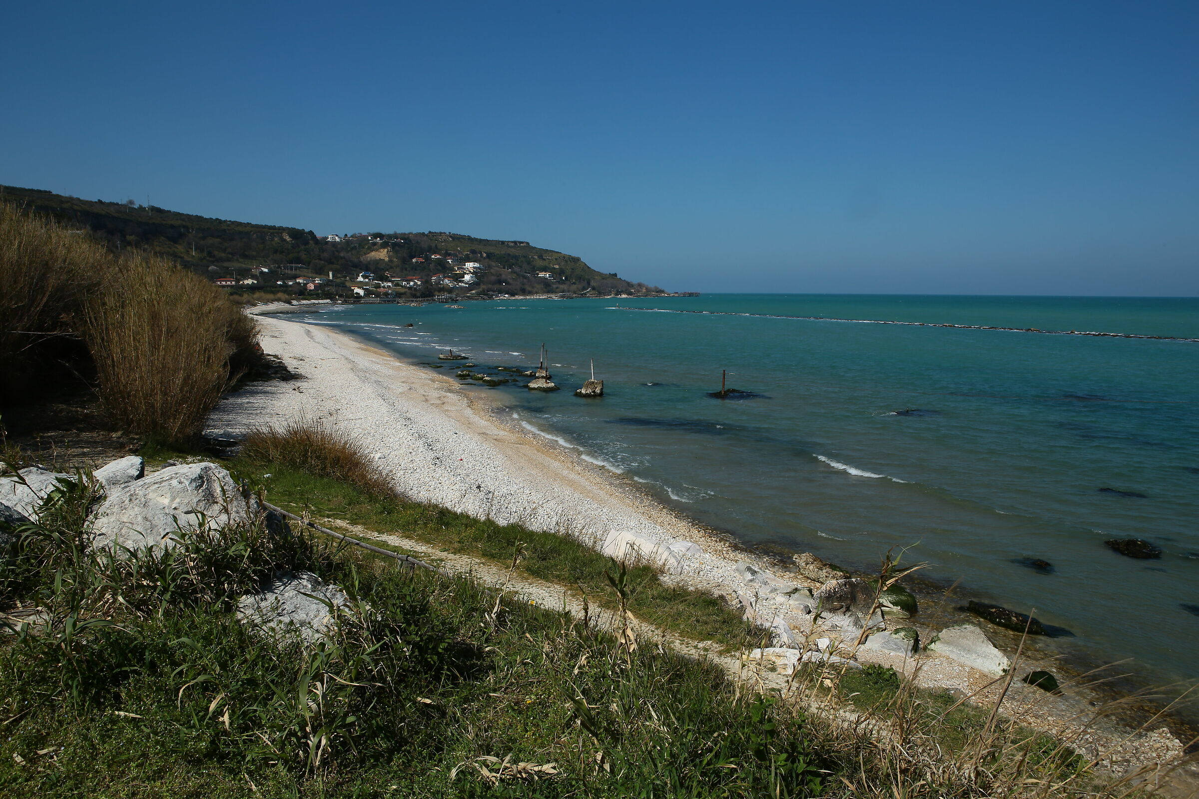 Locality Punta Rocky